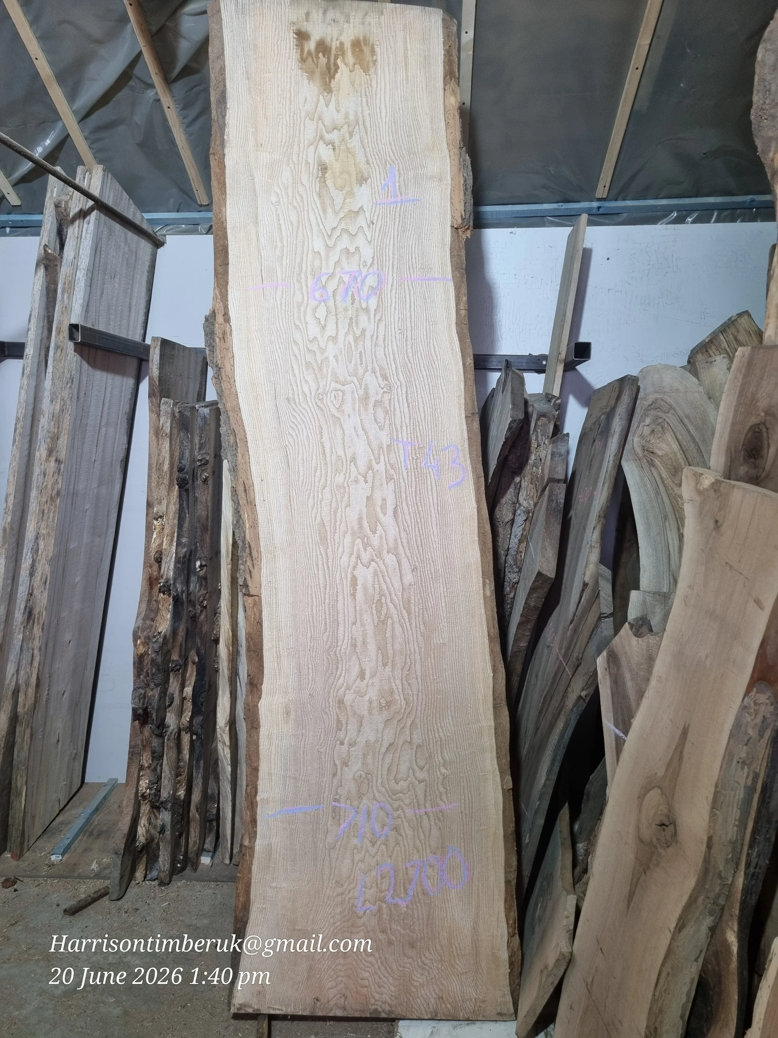 Olive Ash Slabs