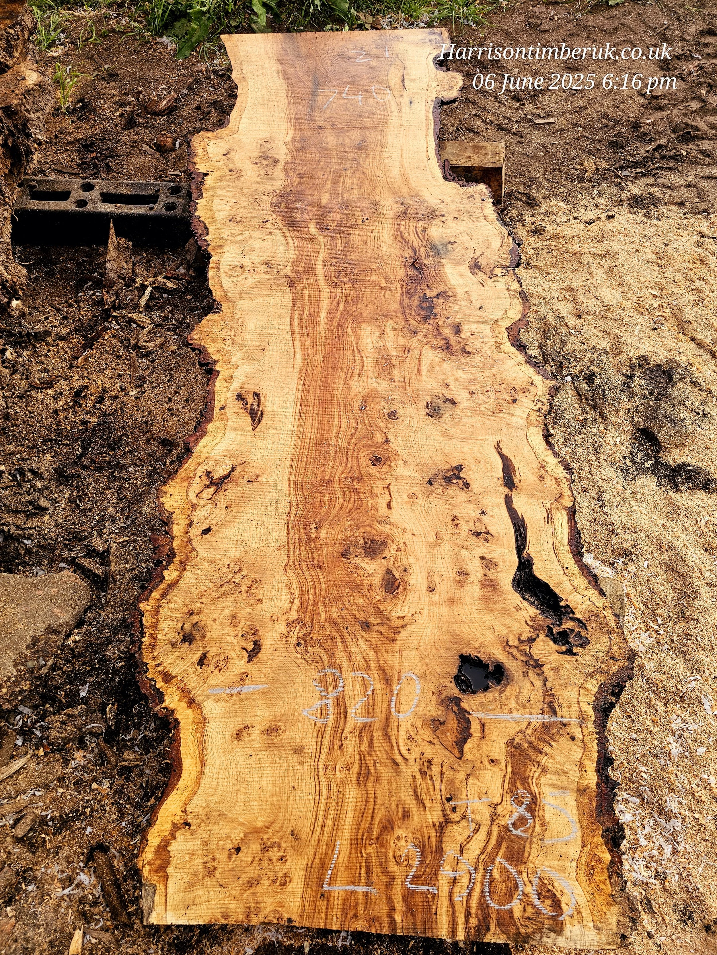 Pippy oak with metal stain (1).jpg