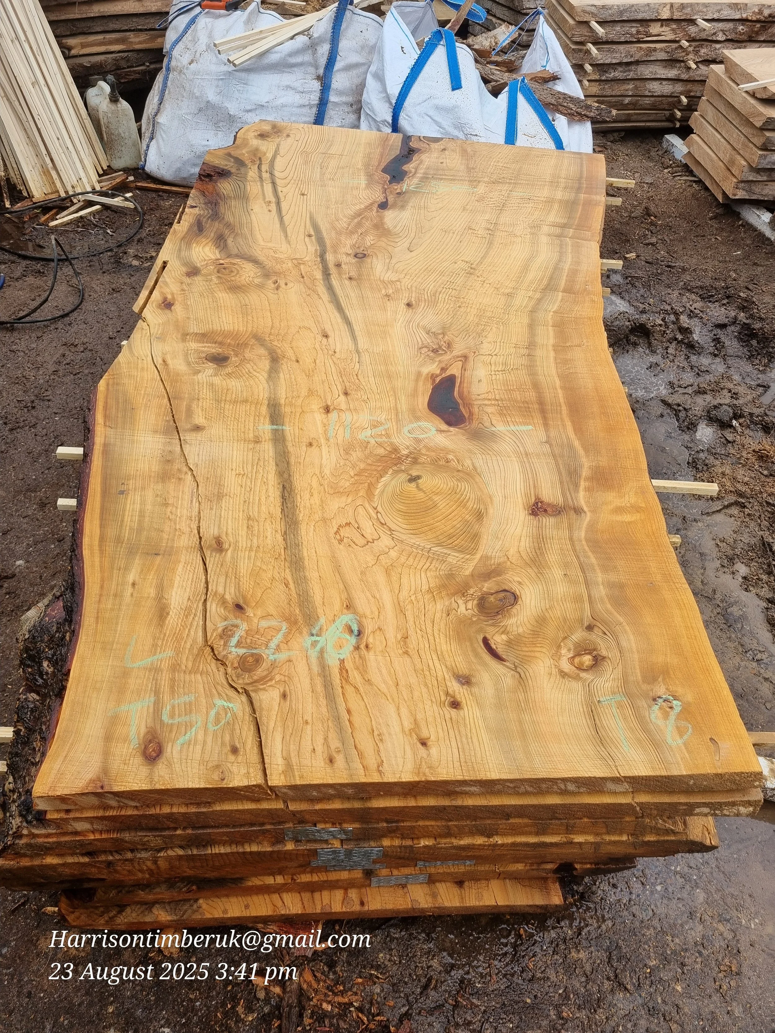 Cedar Slabs 8.jpg