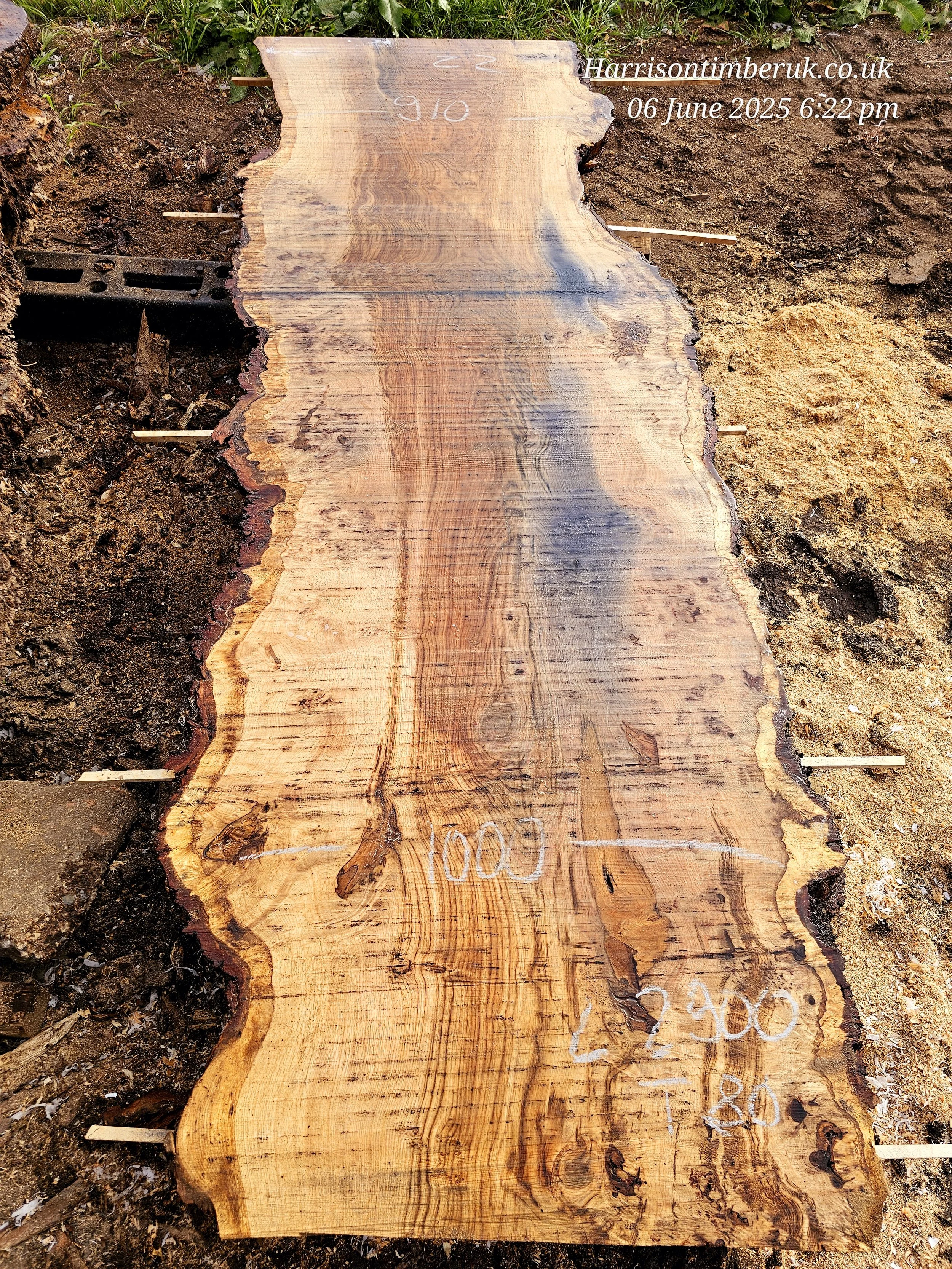 Pippy oak with metal stain (2).jpg