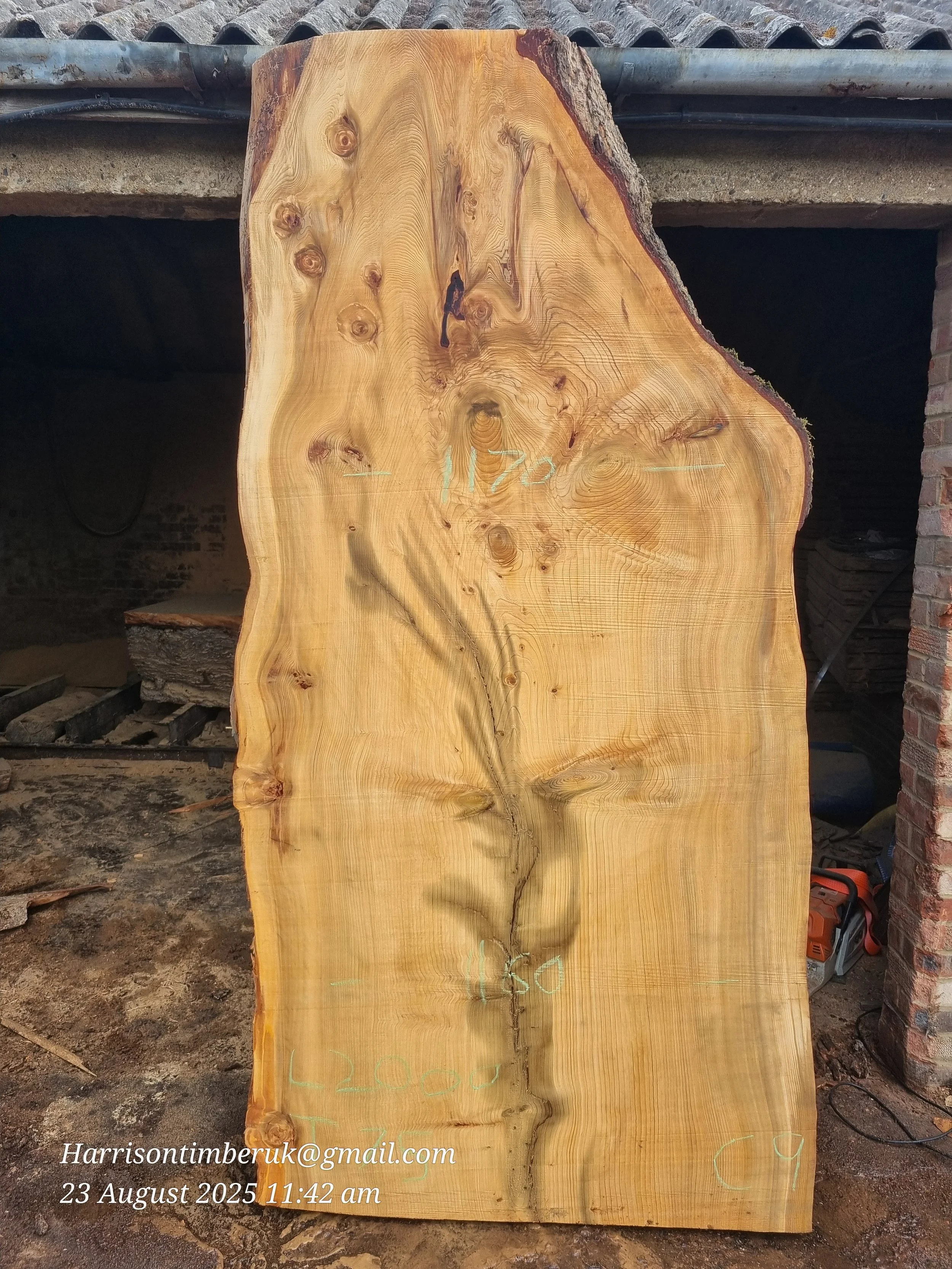 Unusally Looking Cedar Slabs (9).jpg