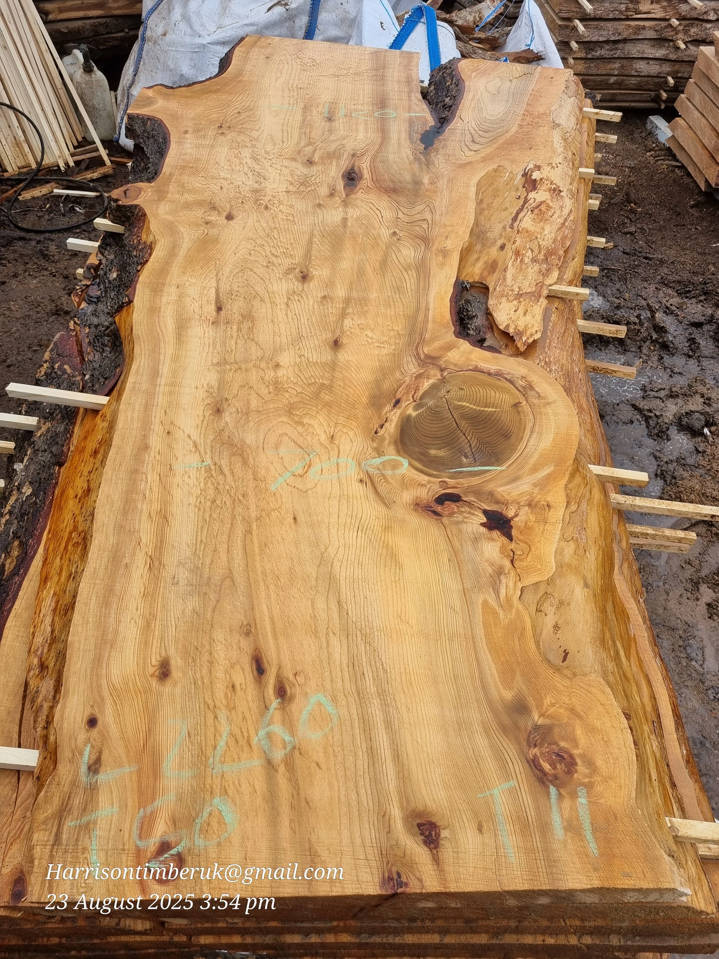 Cedar Slabs 11.jpg