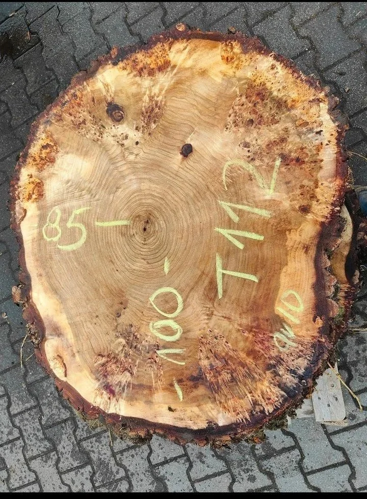 Mappa+burl+cookie+T+112.jpg