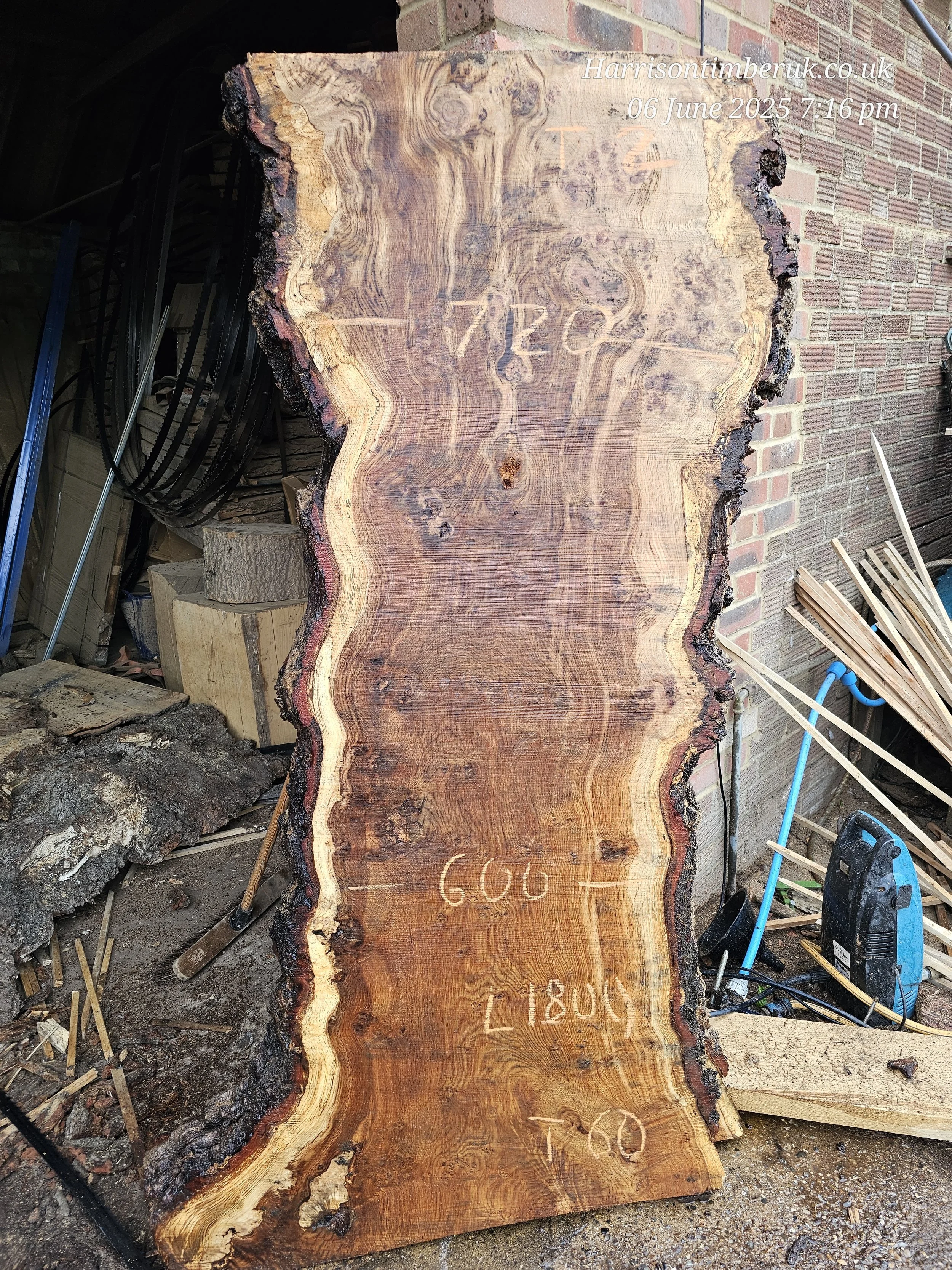 Brown Pippy Oak (3).jpg