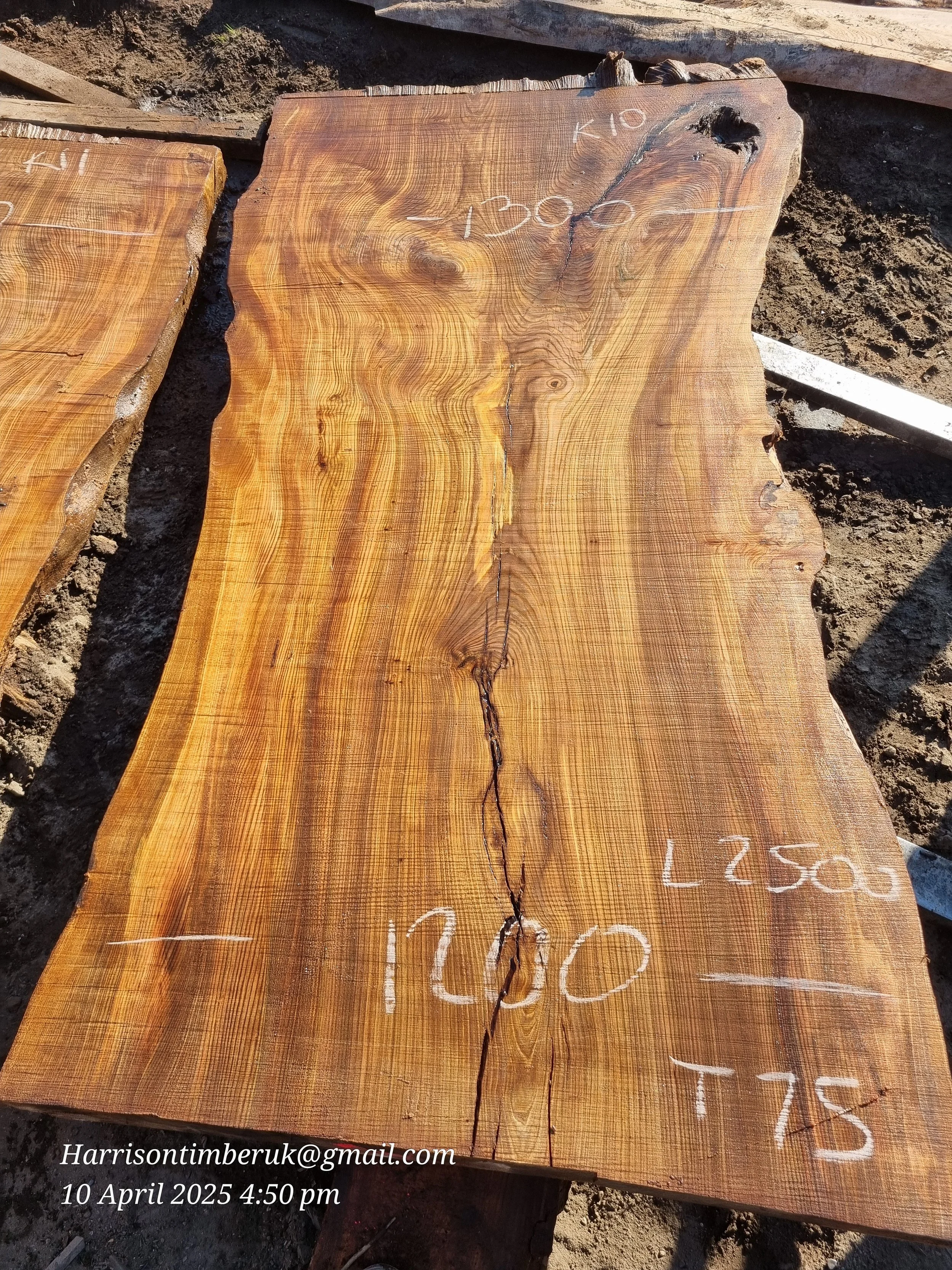 Large Elm Slabs (10).jpg