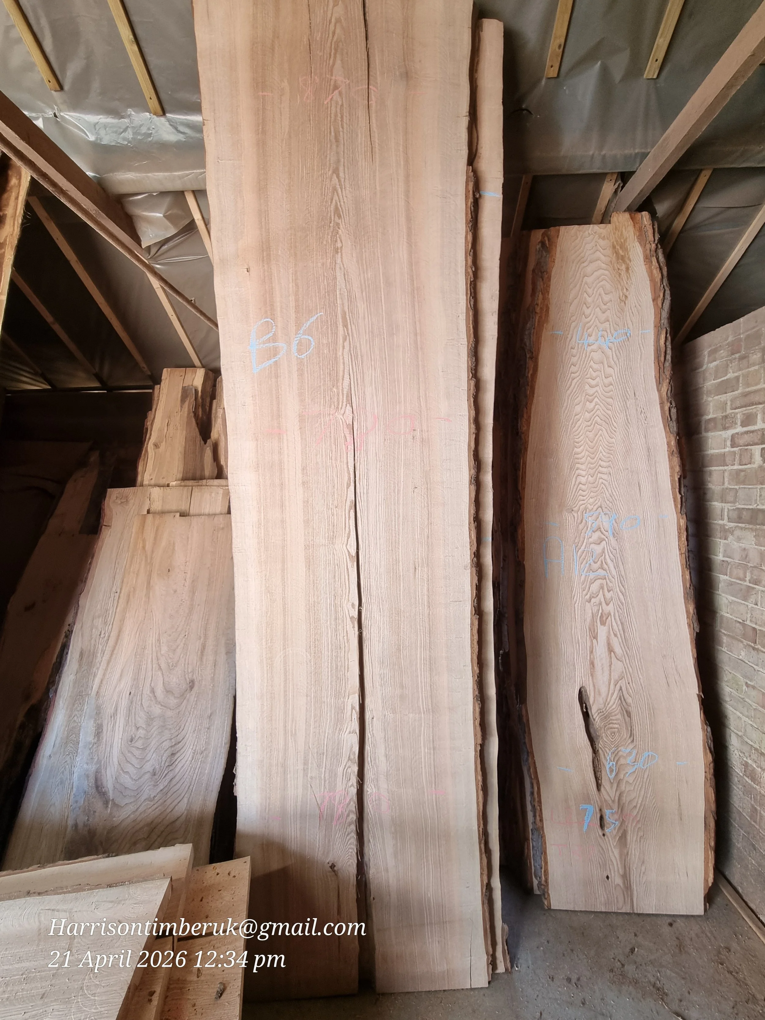 Olive ash B6.jpg (Copy)