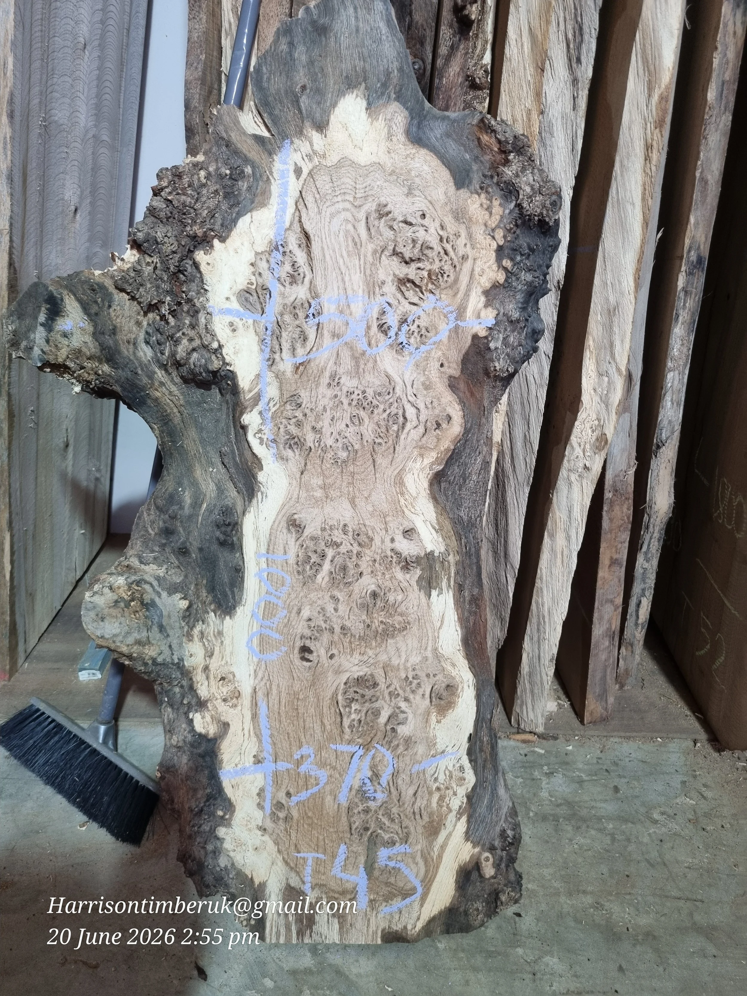 Pippy Oak Slabs