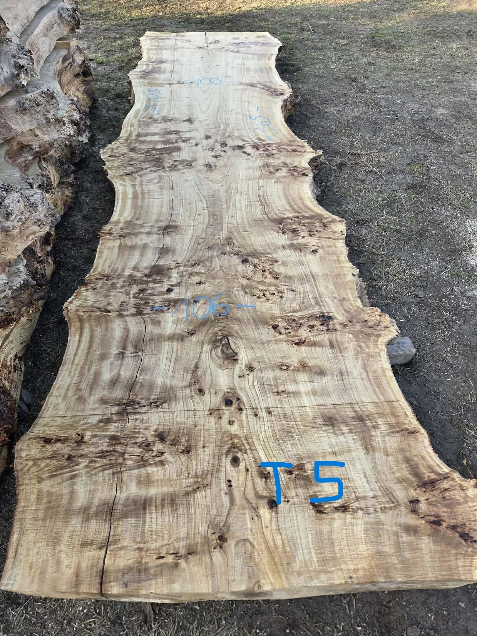 Mappa burl P5.jpeg