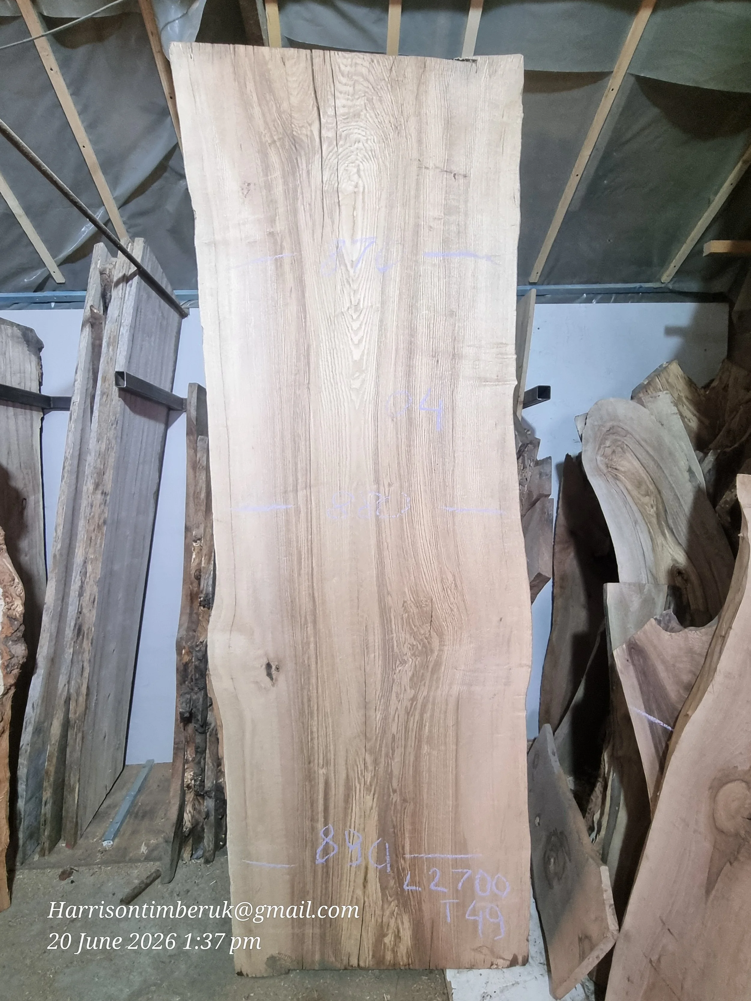 Olive Ash Slabs