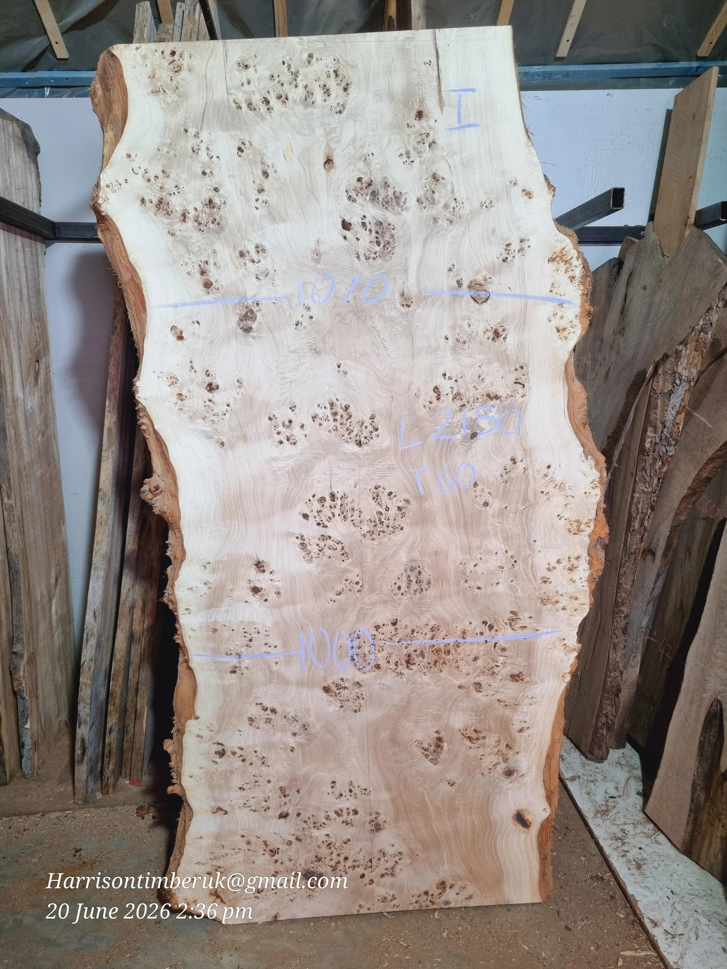 Mappa Burl Slab