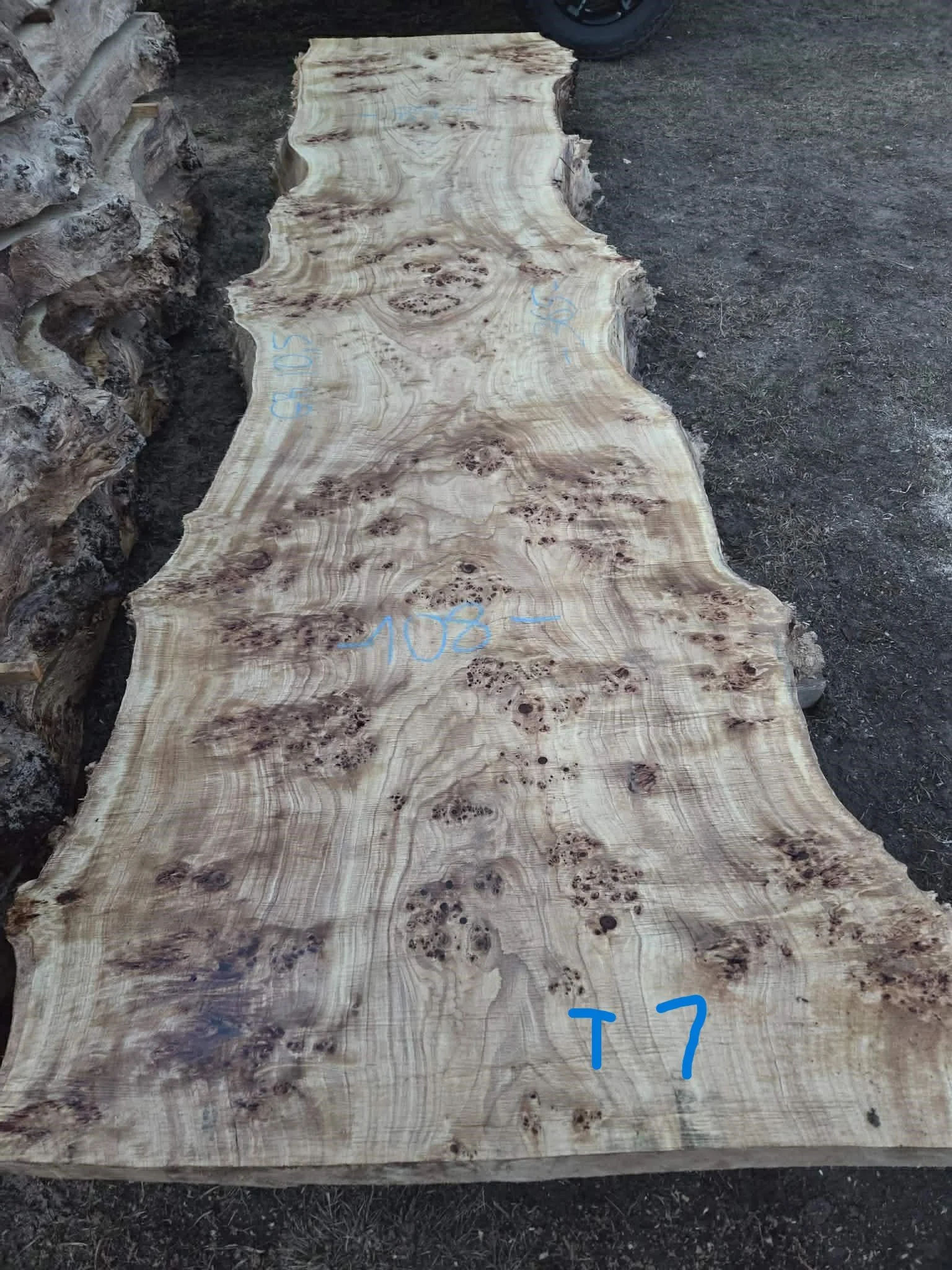 Mappa burl P7.jpeg