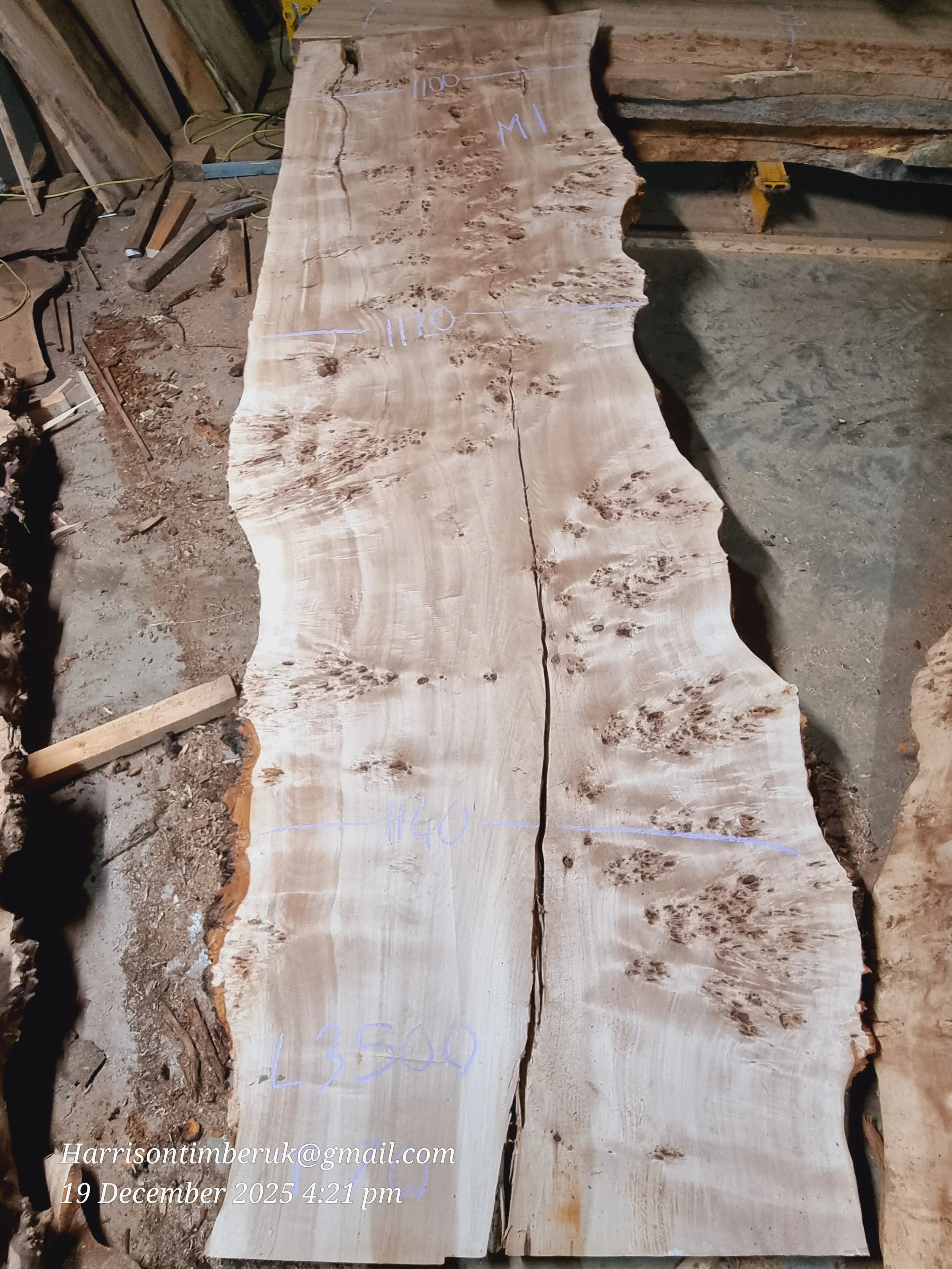 Mappa Burl Slab (2).jpg