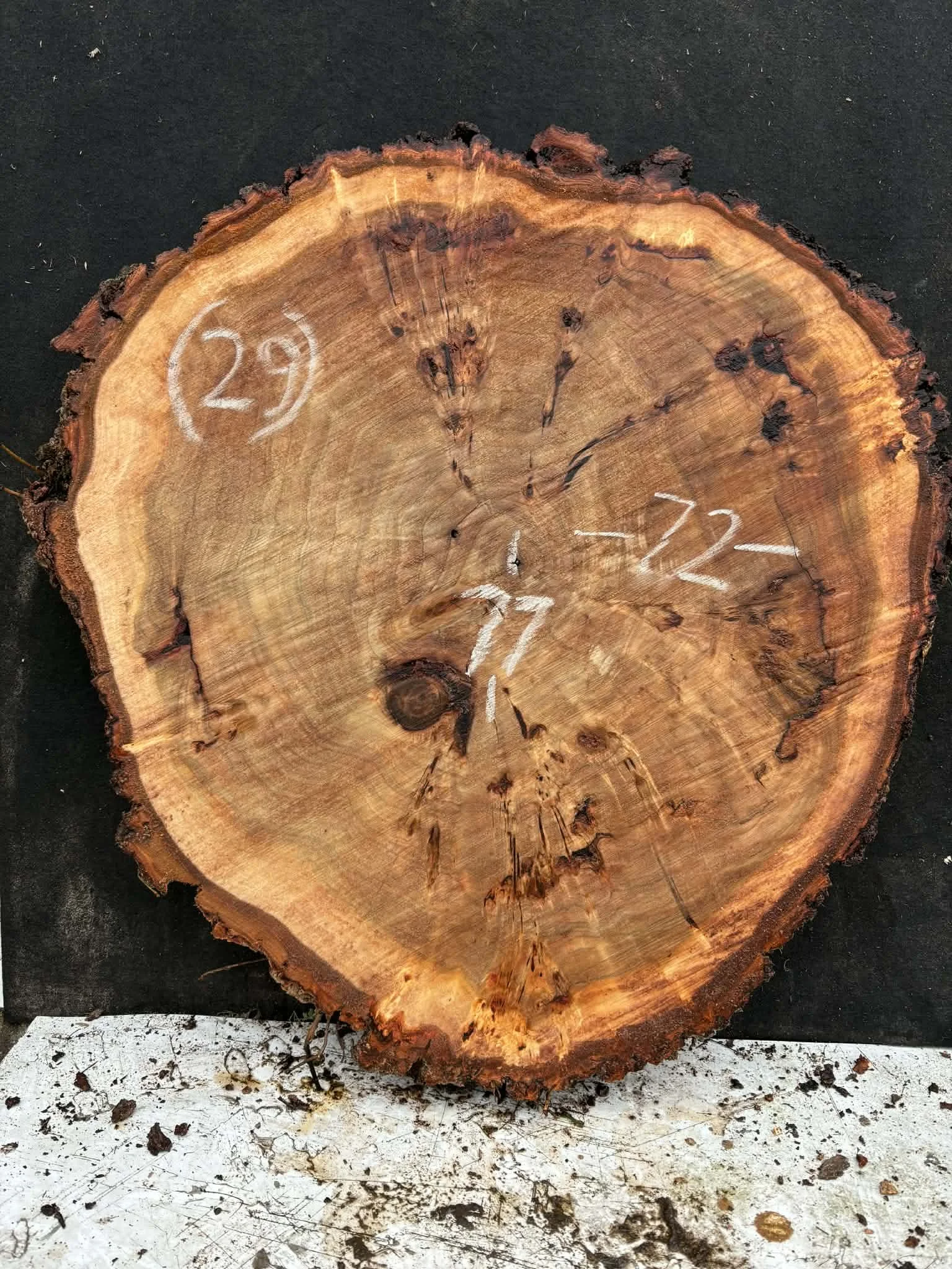 Mappa burl cookie (29).jpeg