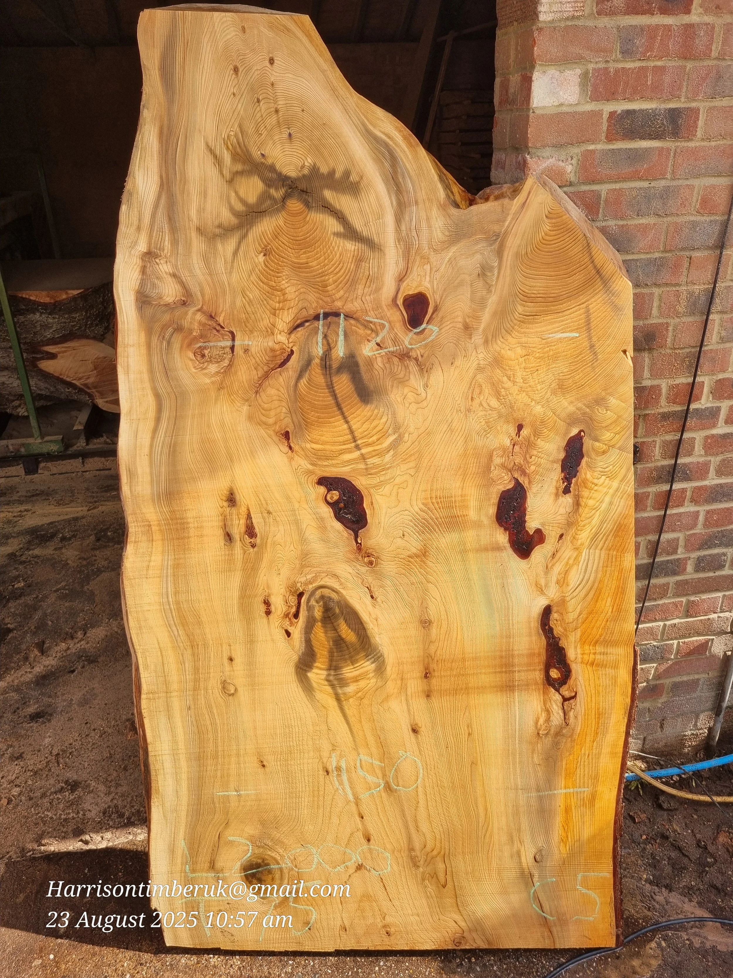 Unusally Looking Cedar Slabs (4).jpg