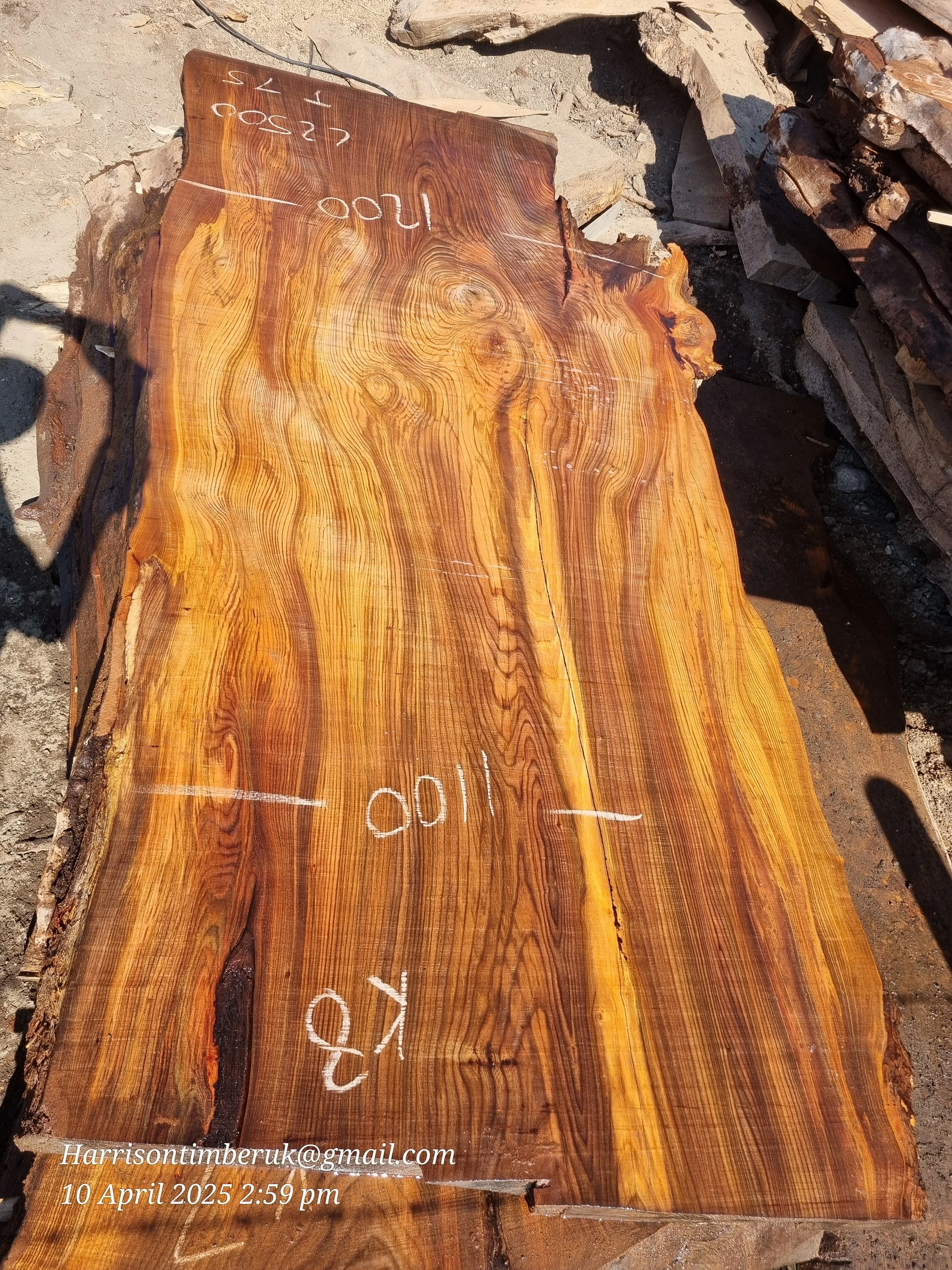 Large Elm Slabs (8).jpg