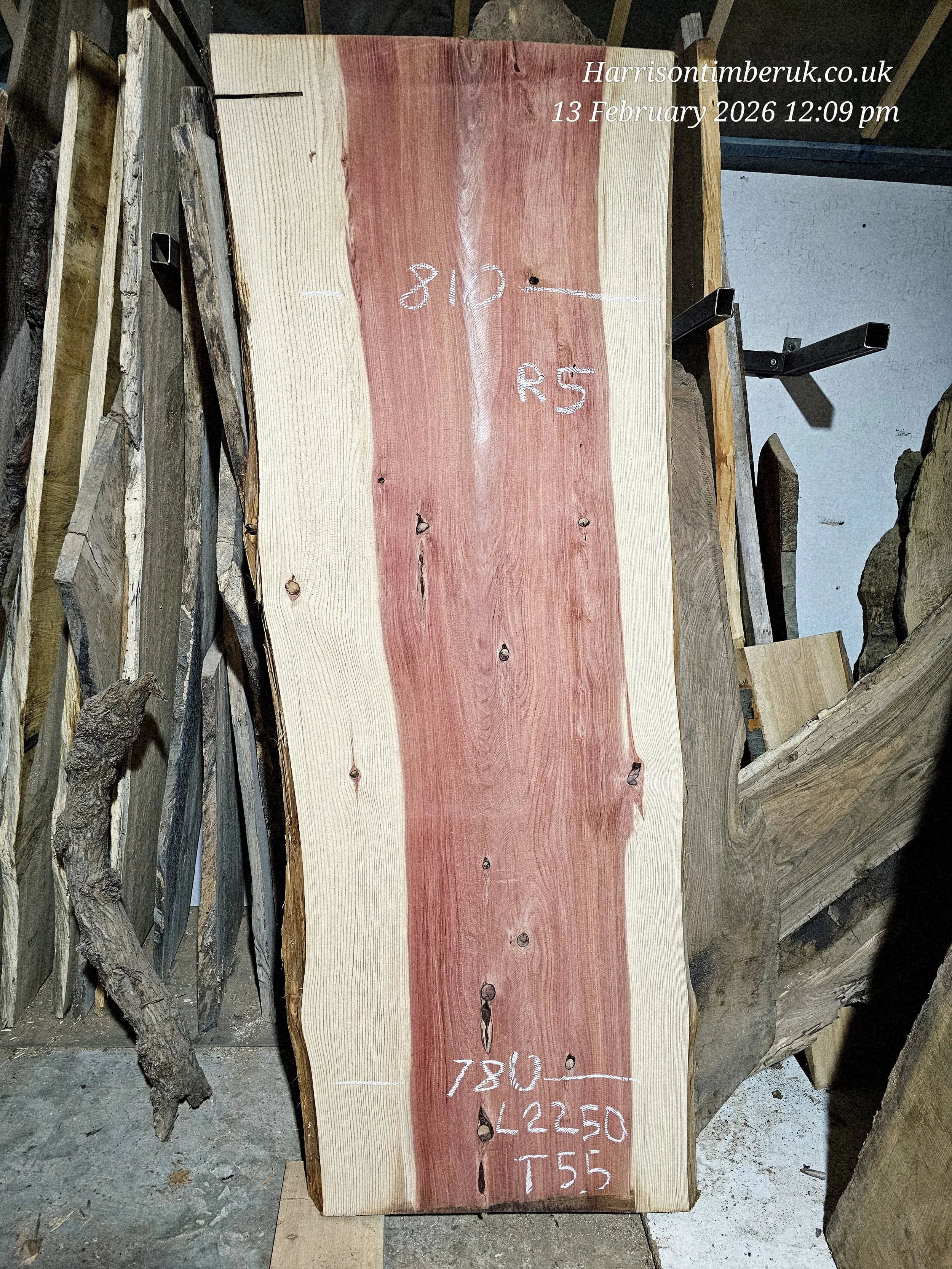 20260213_120915.jpg