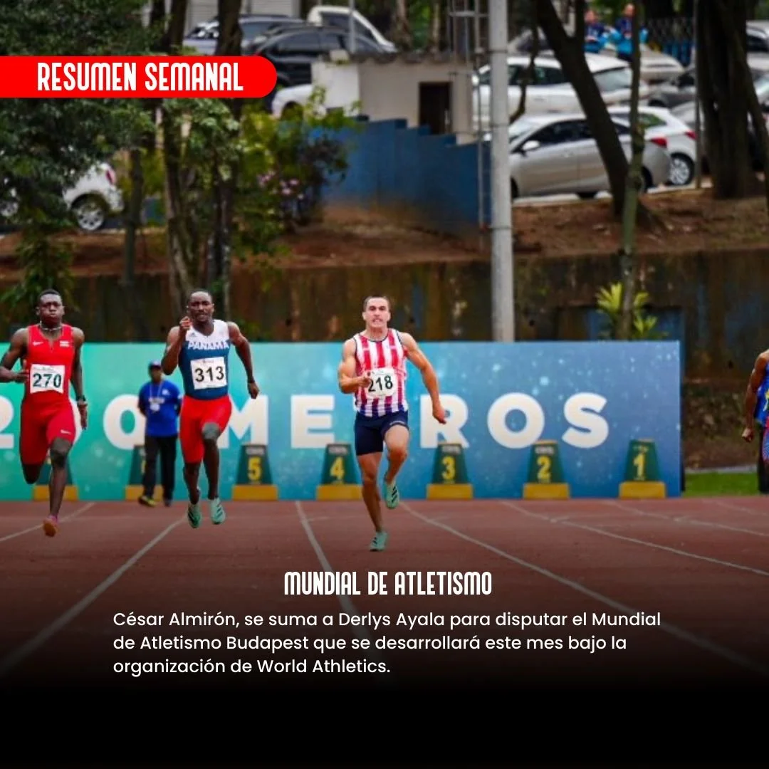 WhatsApp Image 2023-08-07 at 09.40.15.jpeg