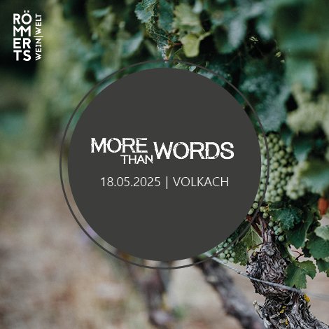 Ticket MORE THAN WORDS - Konzert 18.05.2025