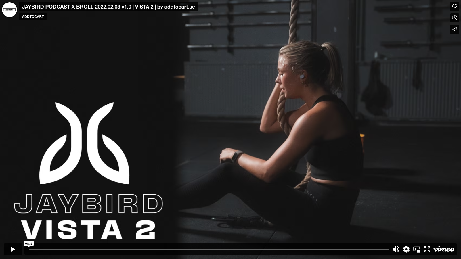 Fallstudie: JAYBIRD | PODCASTSERIE X BROLL (INSPELAD PÅ PLATS)