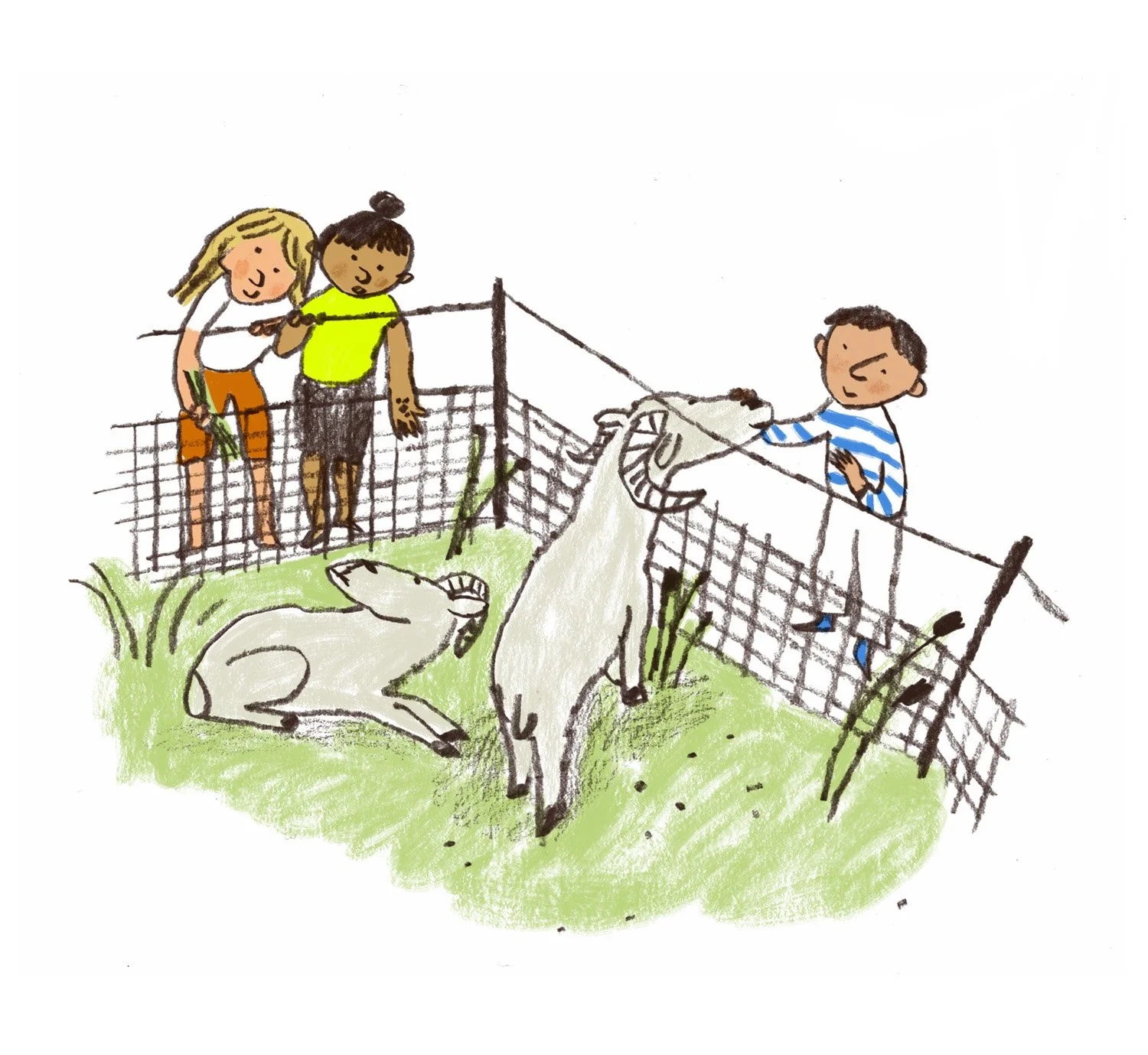 farm1.jpg