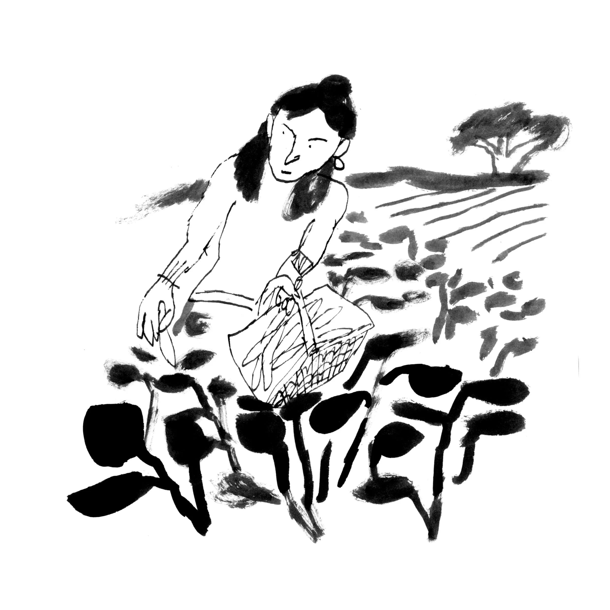 Landworkers' Alliance