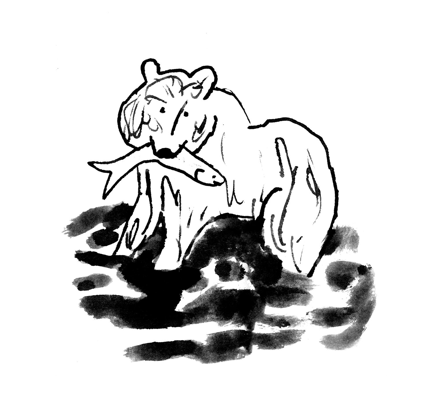 bears2.jpg