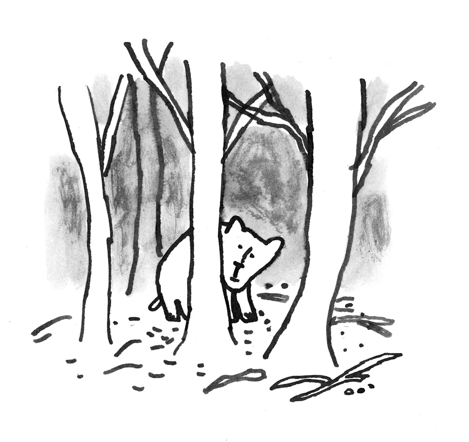 bears4.jpg