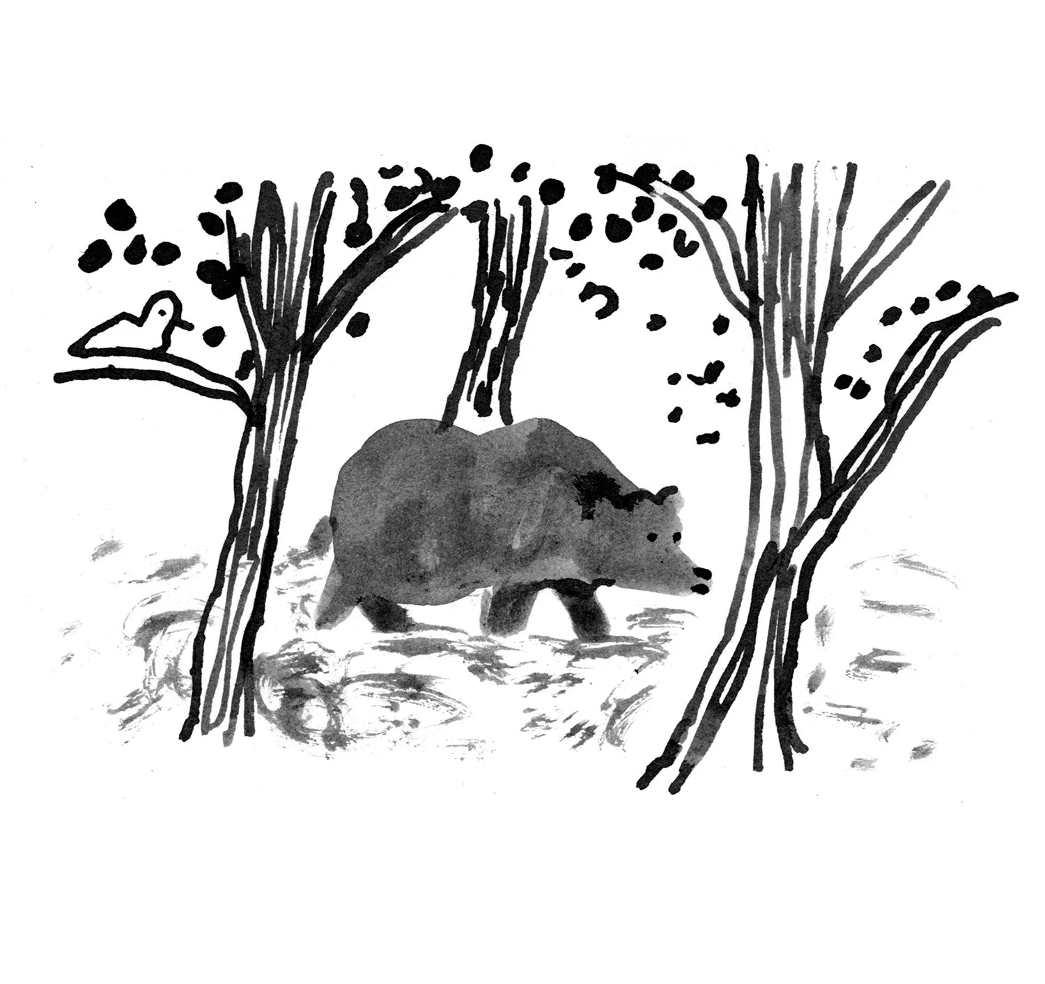 bears10.jpg