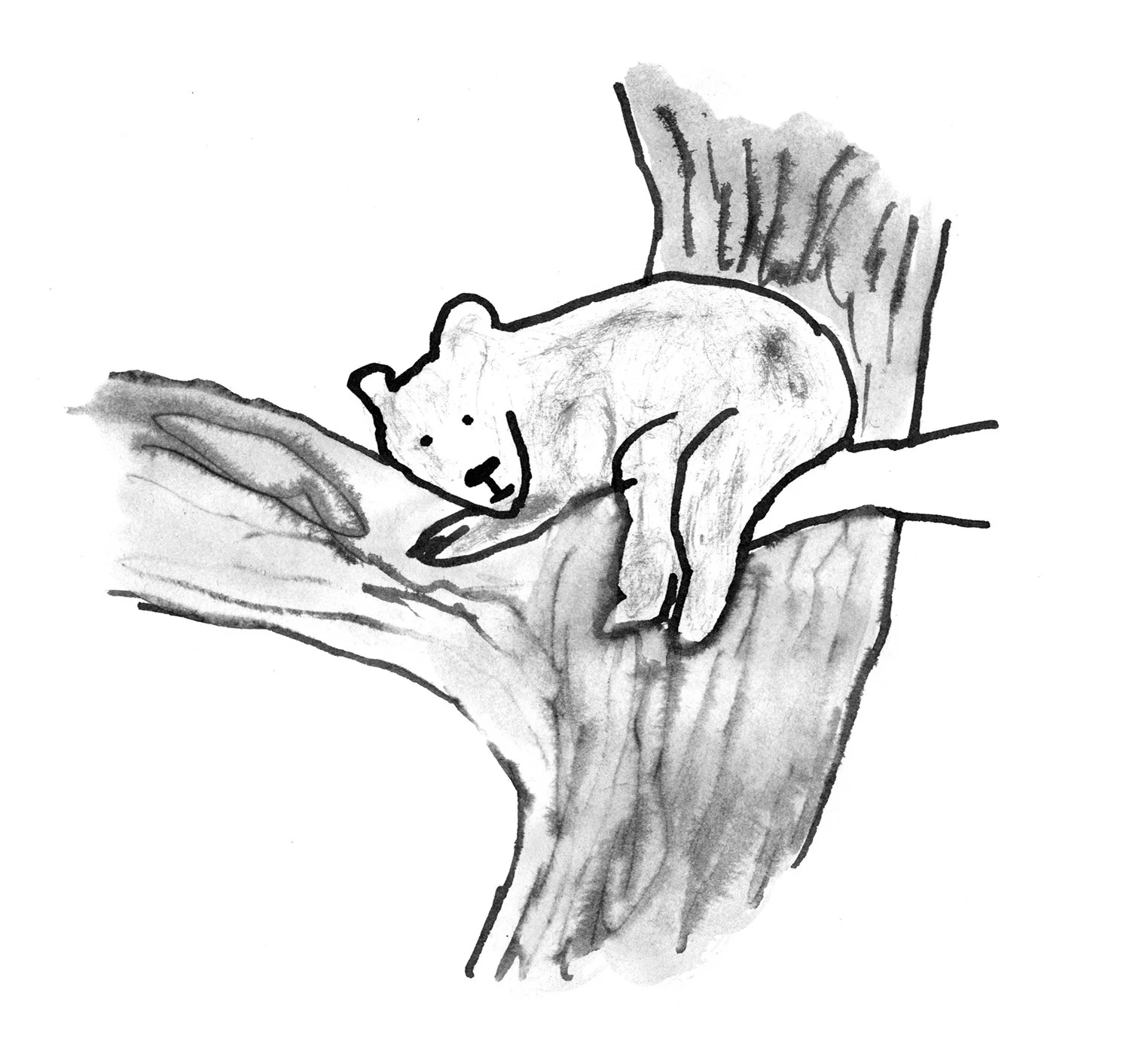 bears3.jpg