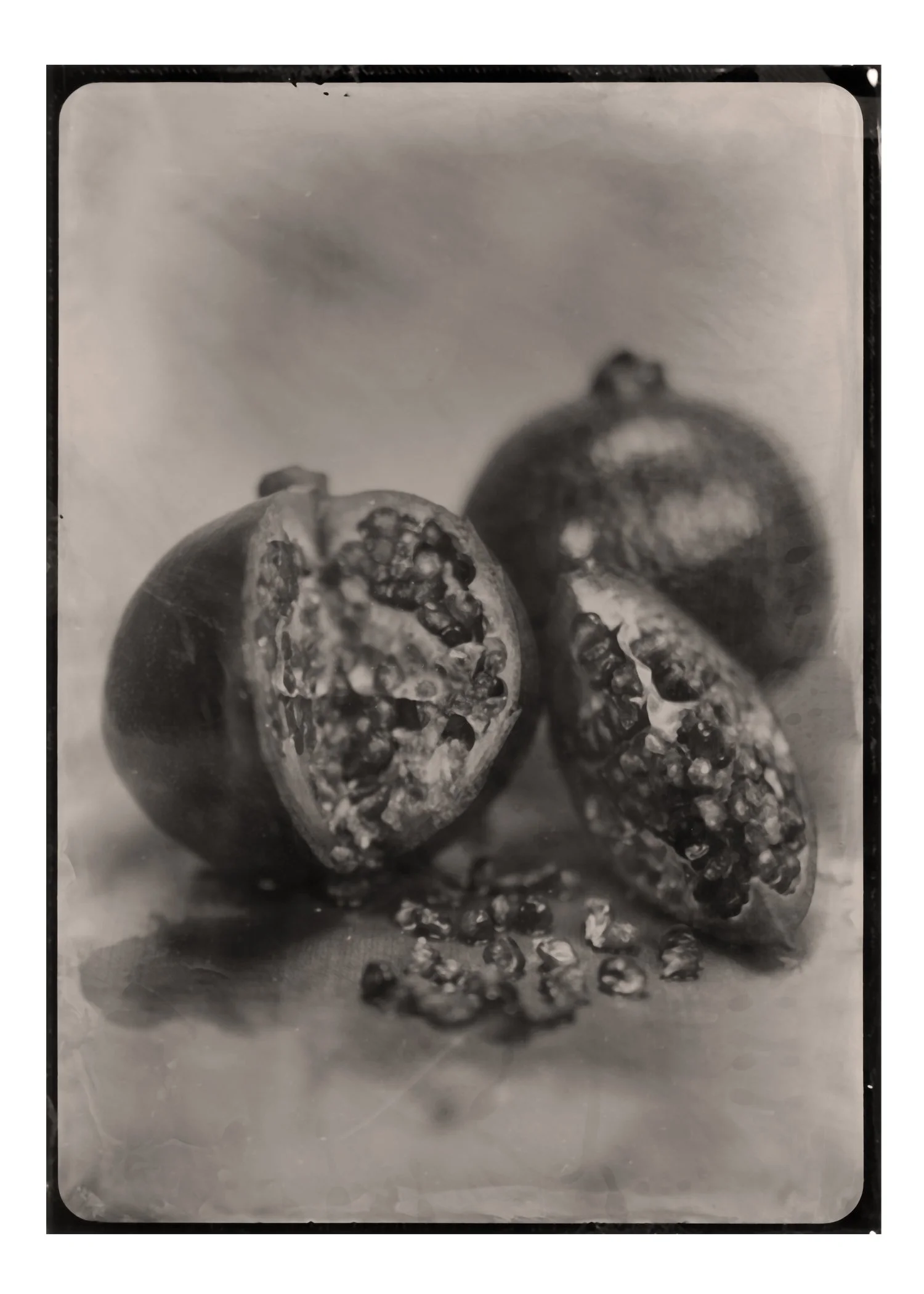 5X7-Pomegranate.jpg