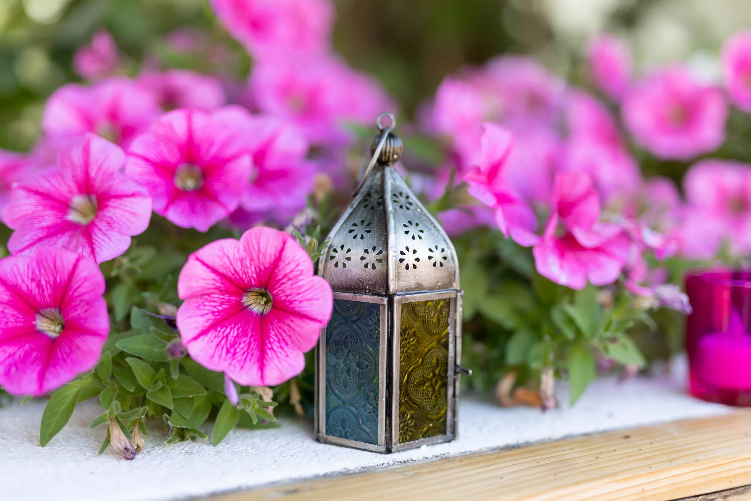 Pink flowers surrounding a decorative metal lantern with colored glass panels on a wooden surface.
