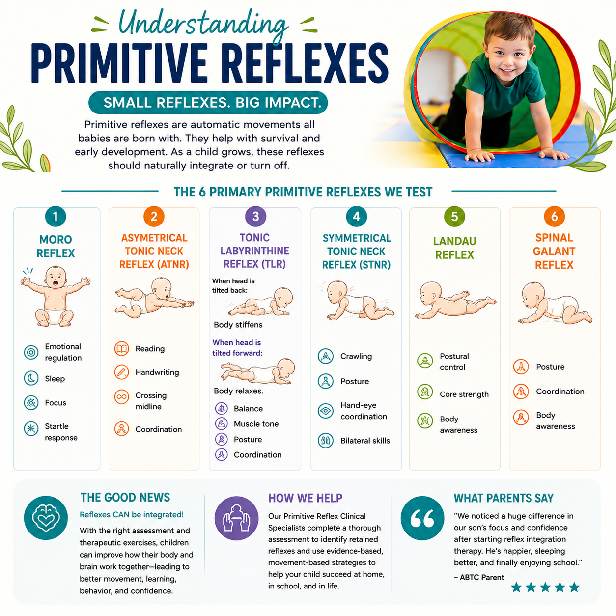 Parent infographic explaining Moro, ATNR, TLR, STNR, Landau, and Spinal Galant primitive reflexes assessed at Apollo Beach Therapy Center.