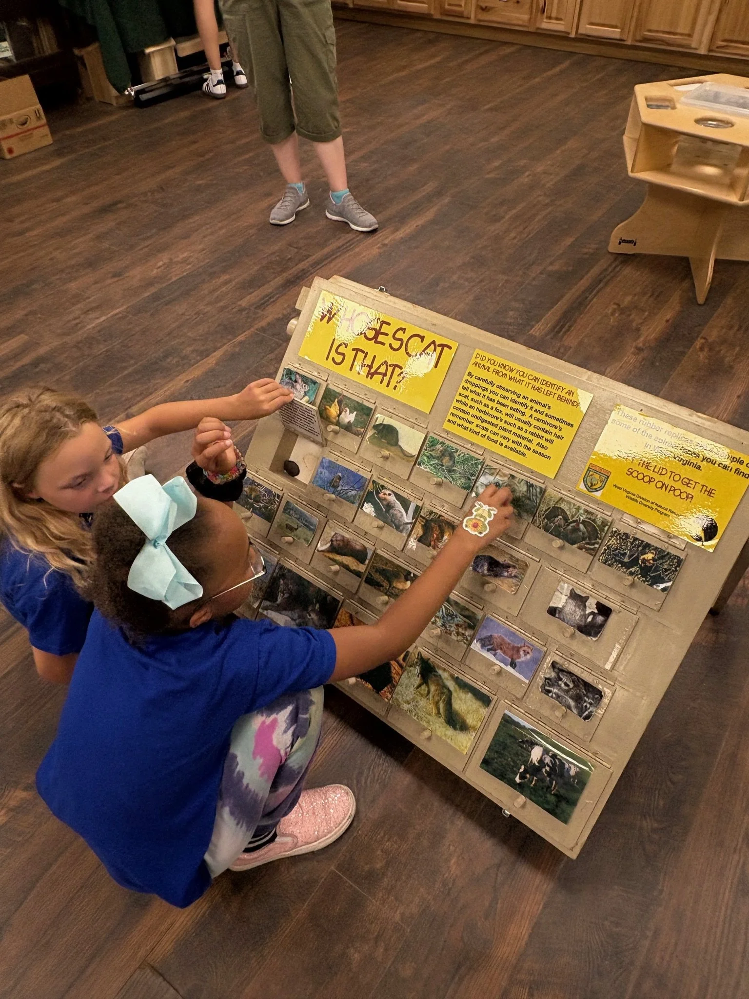 Reading Camp 10.jpeg