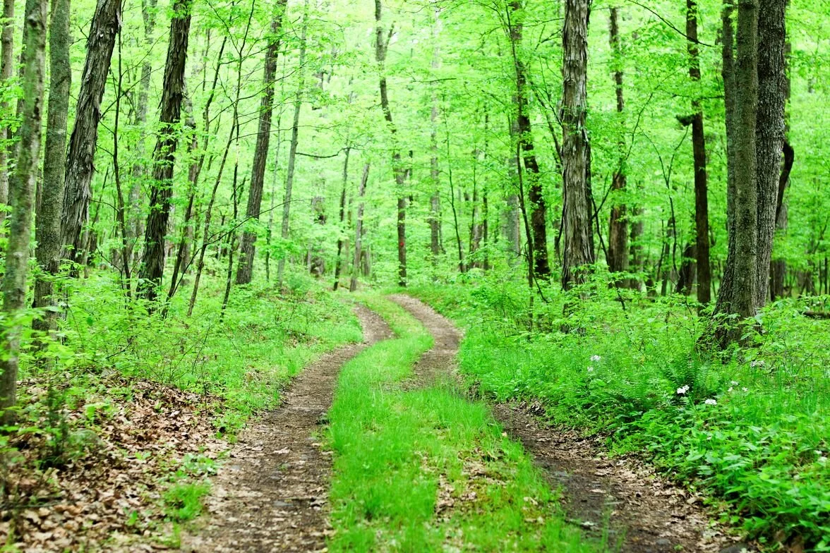 Women’s Retreat is Walking the Wilderness!