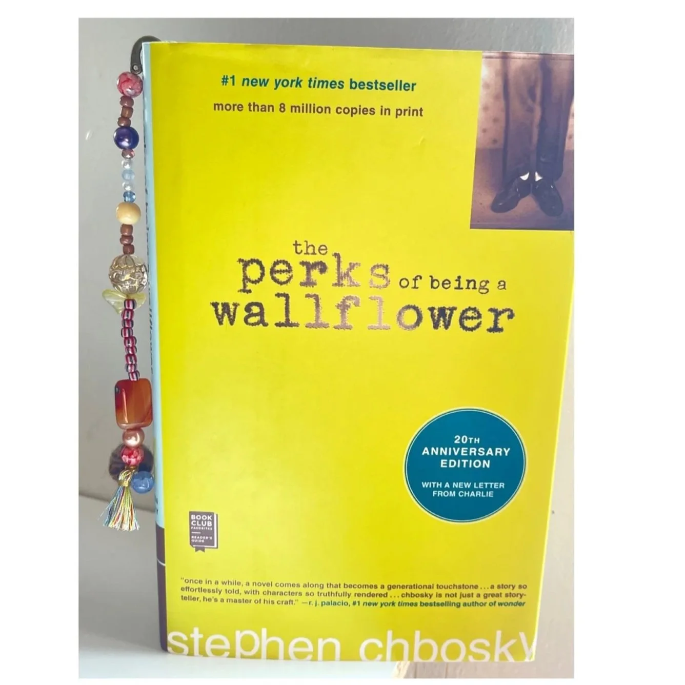 The Perks of Being a Wallflower