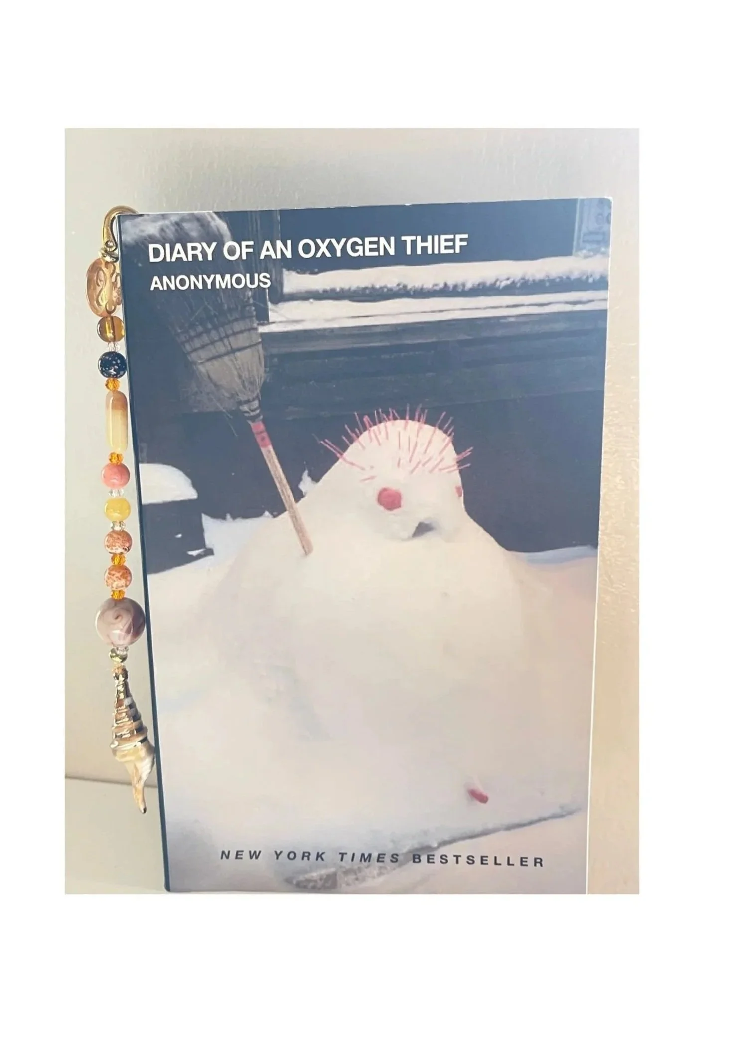 Diary Of An Oxygen Thief