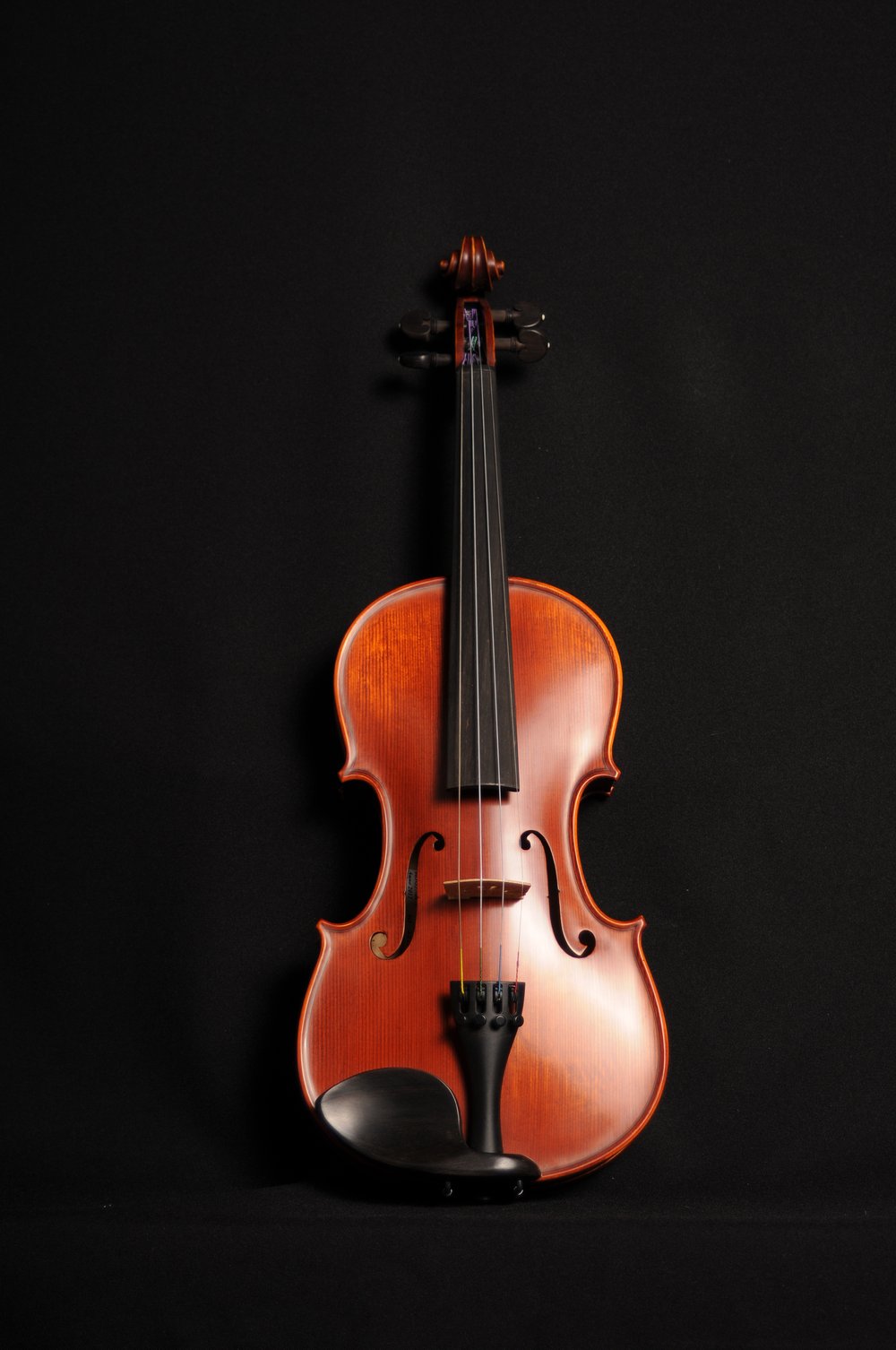 Violin_ReghinMaster_Front.JPG? Violin_ReghinMaster_Front.JPG?