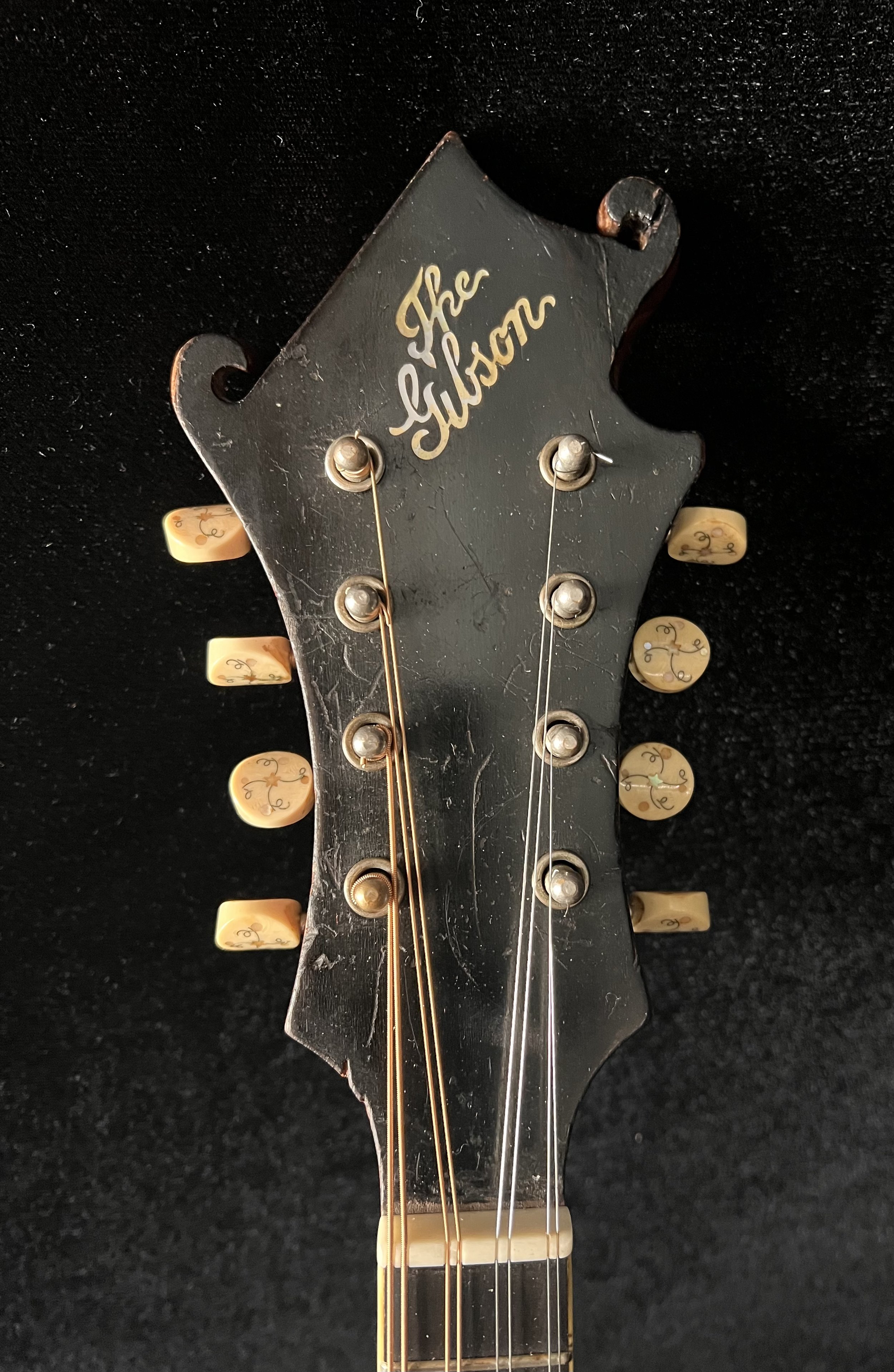 Headstock.jpg