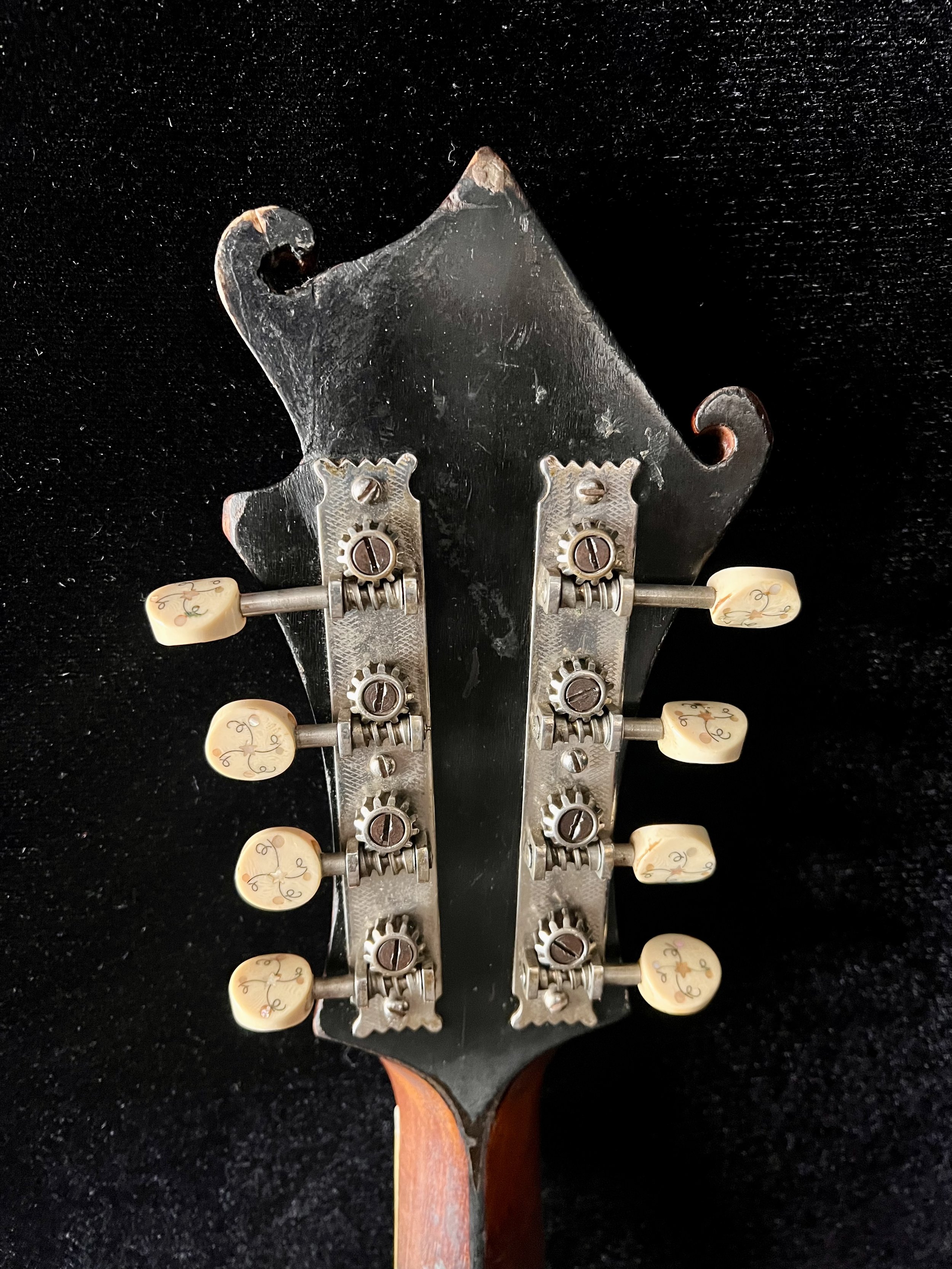 Headstock Back.jpg