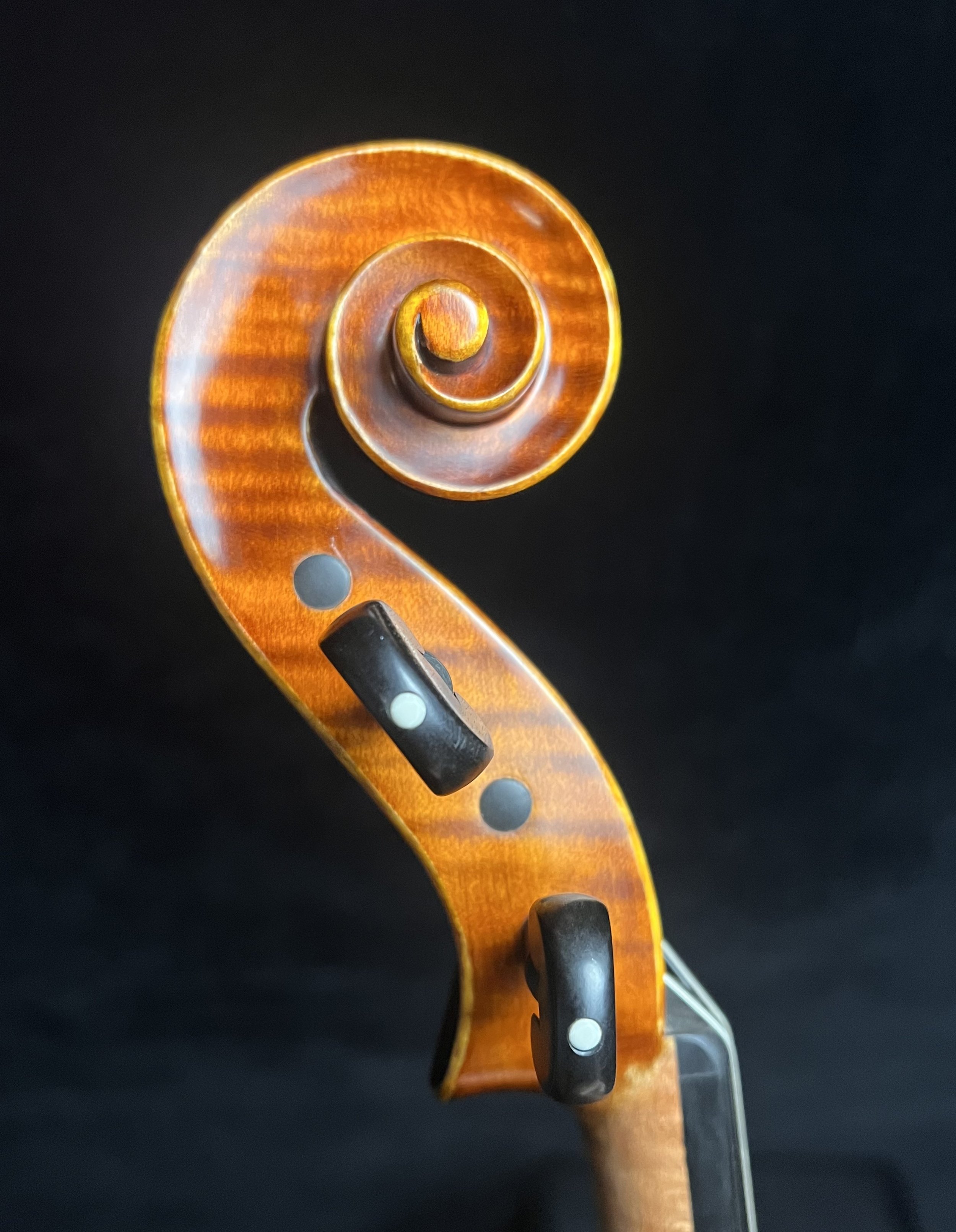 Scroll Left.jpg