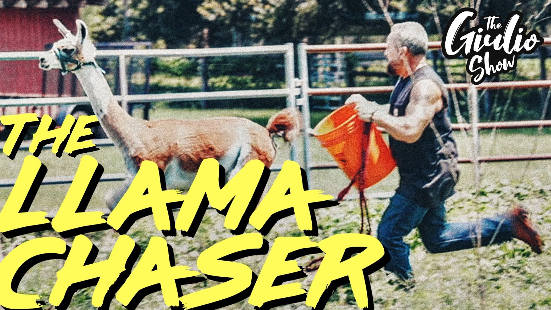 llama chaser.jpg