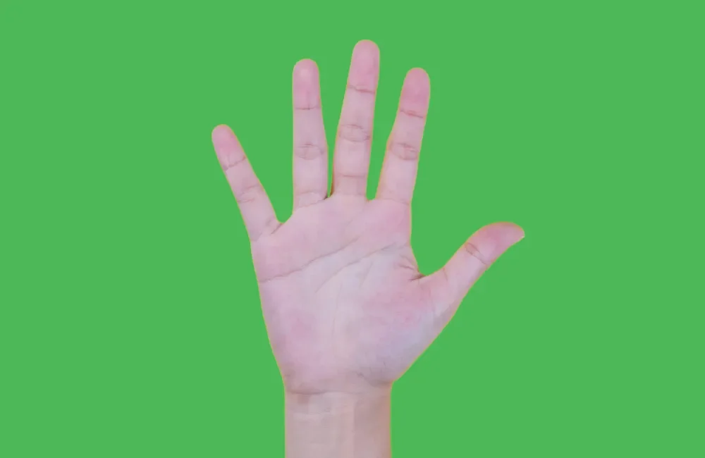 Professional SEO Services