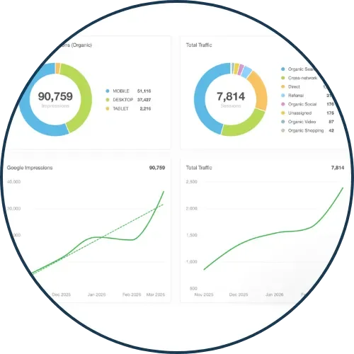 Bottoms Down Website Organic Traffic
