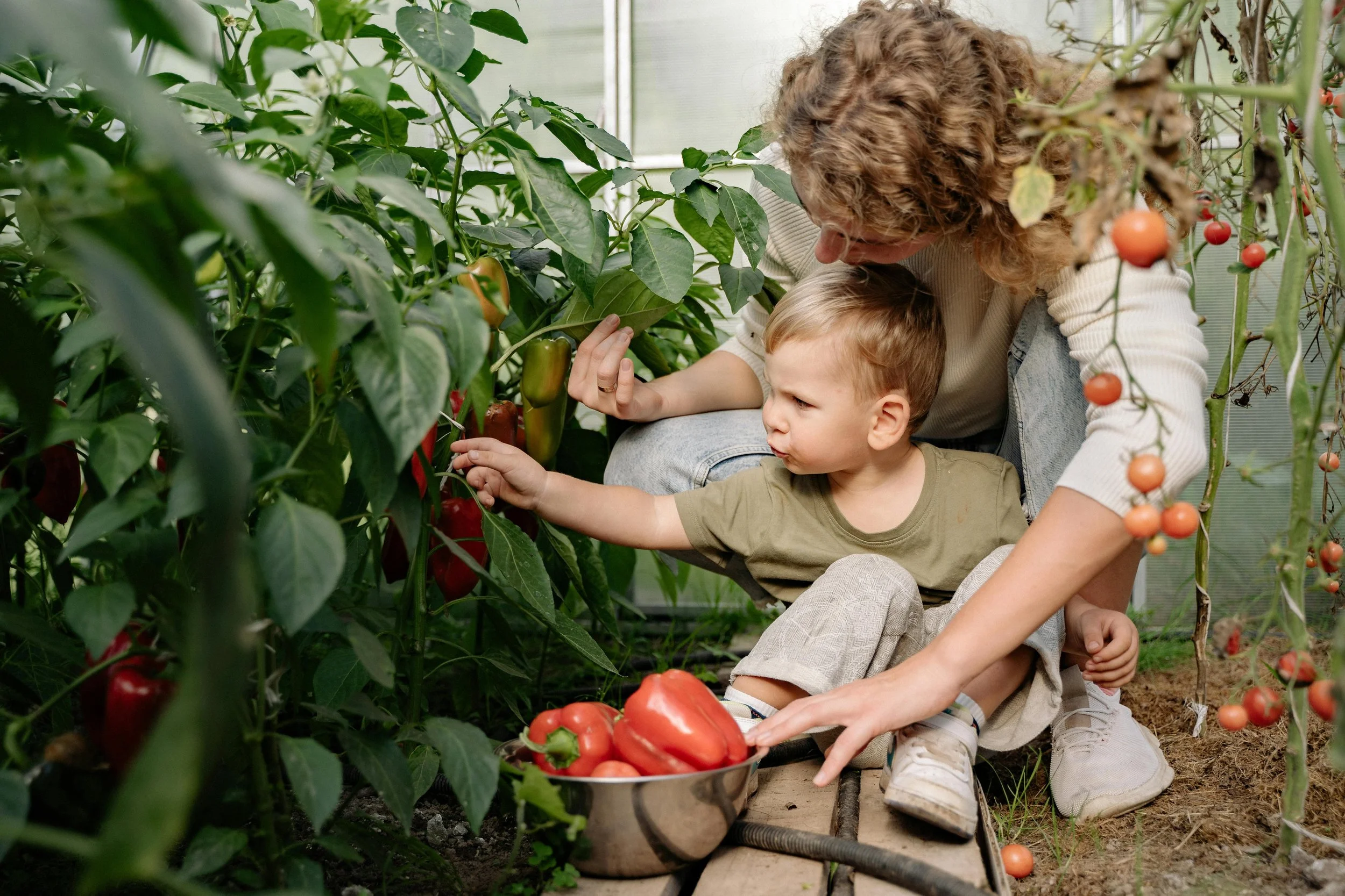 Mom and son picking vegetables in a garden
