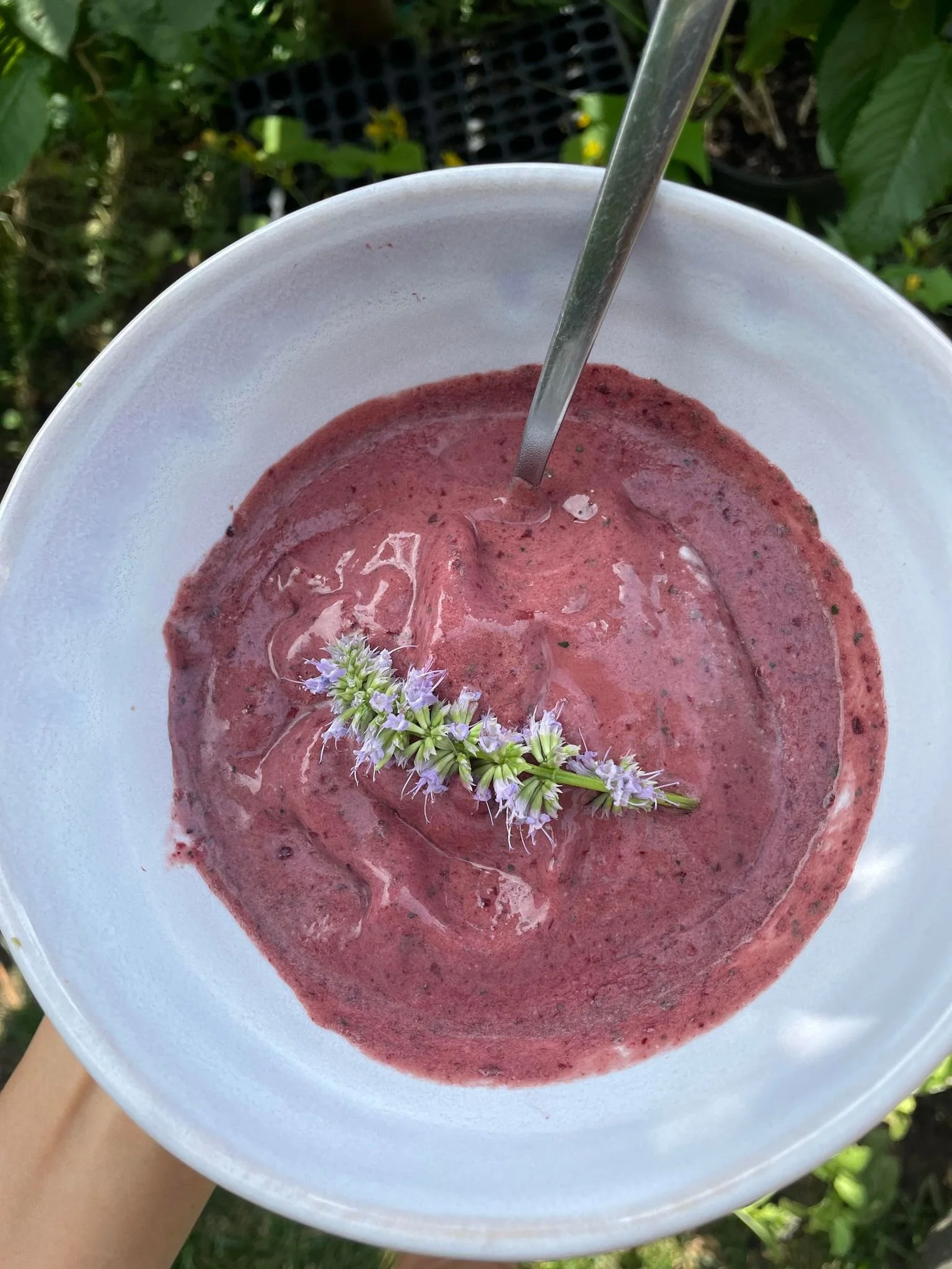 SWEET HYSSOP &amp; LEMON BALM MINT ICE CREAM 