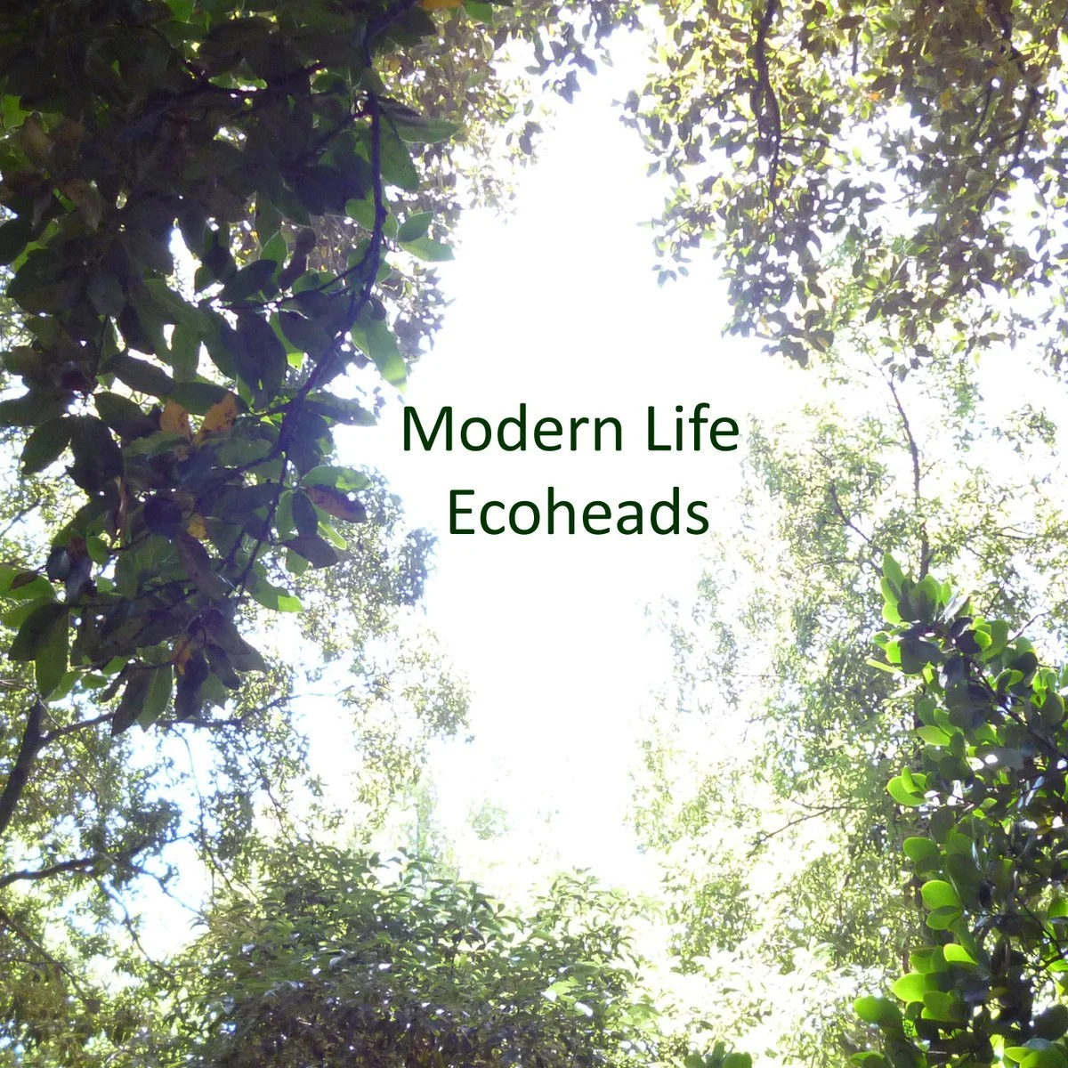 ECOHEADS — Beauty Brands