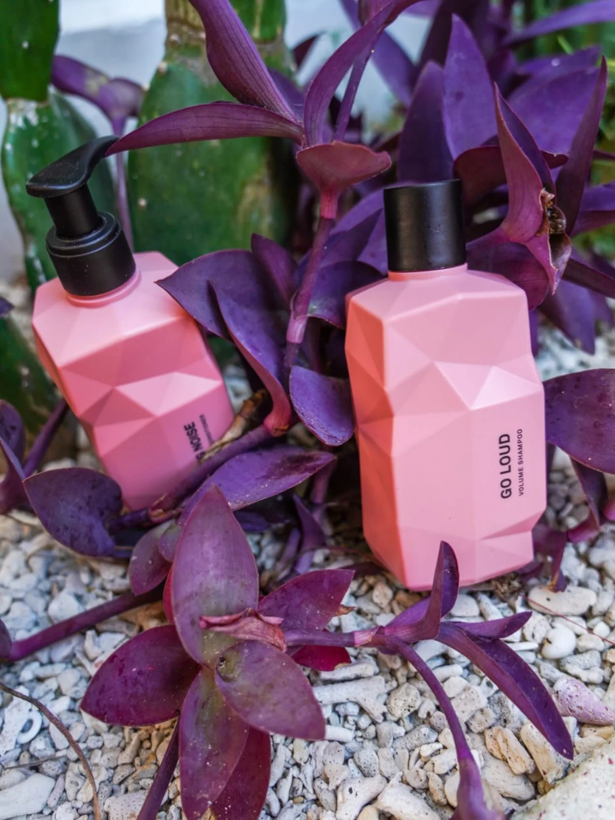 💜🩷💜 @nineyardsbenelux 

📸 @kim.laros