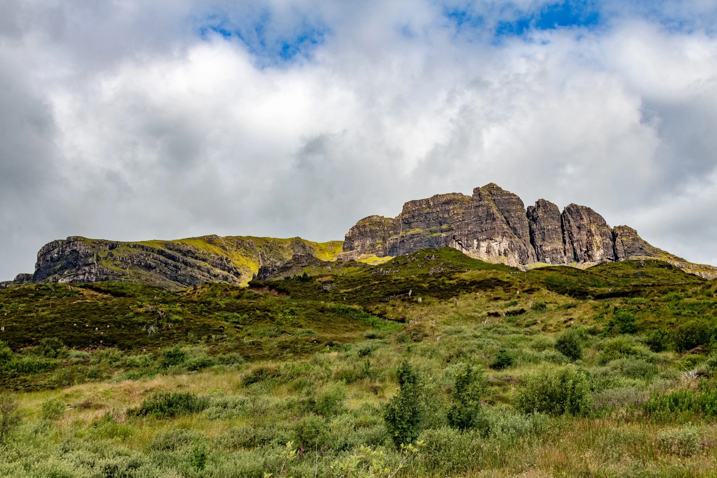 _DSC6695.jpg
