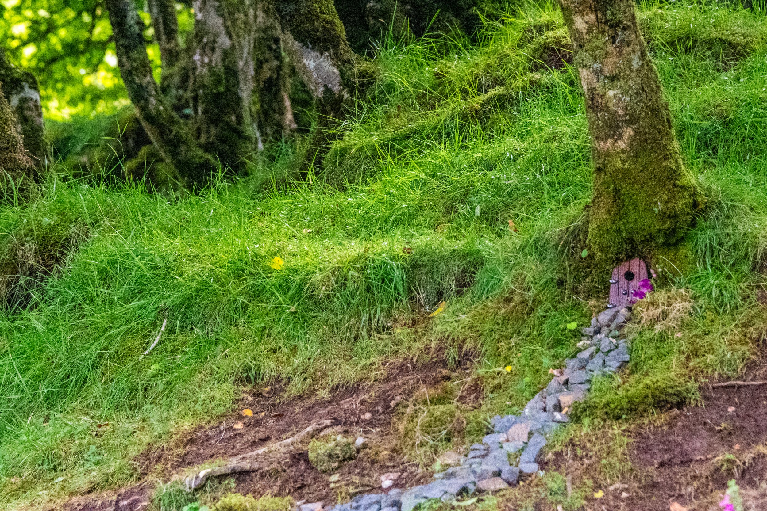 _DSC7041.jpg