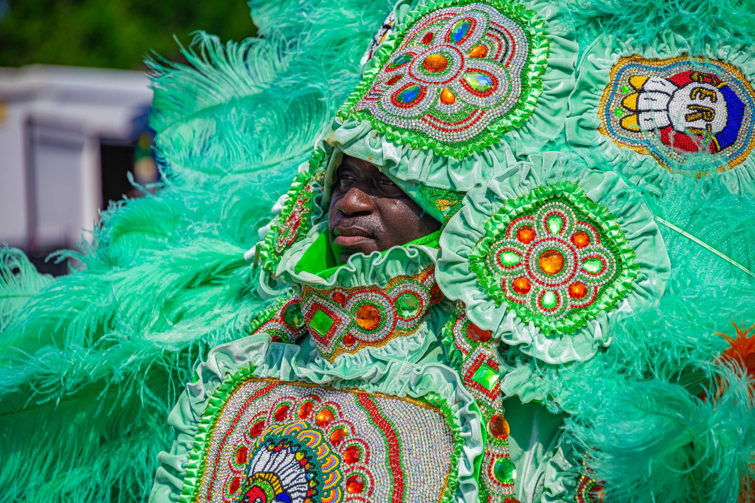 _DSC3063.jpg